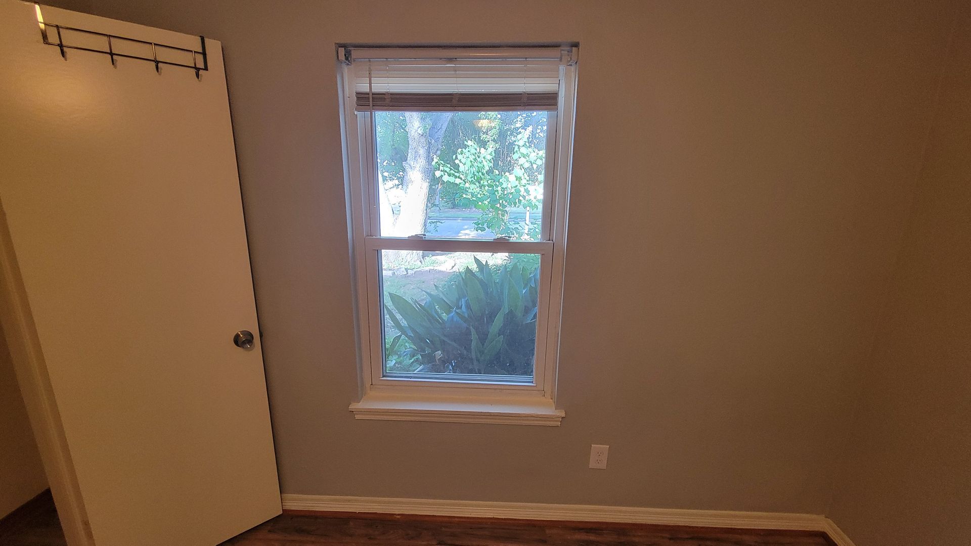 A window and closed door in a room with light grey walls and wood flooring. Outside view of foliage.