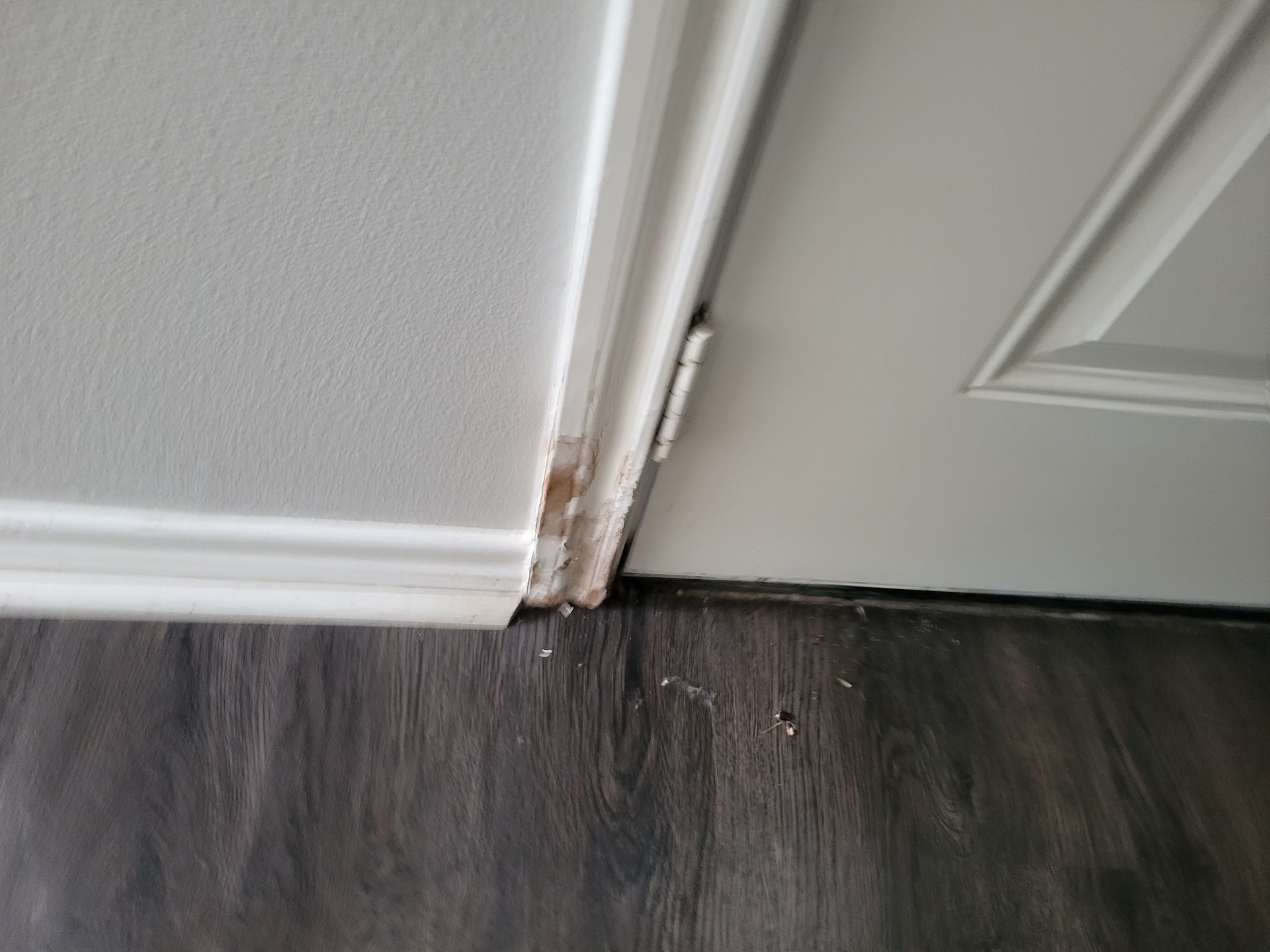 Close-up view of damaged trim near a white door, showing exposed wood and dark flooring.
