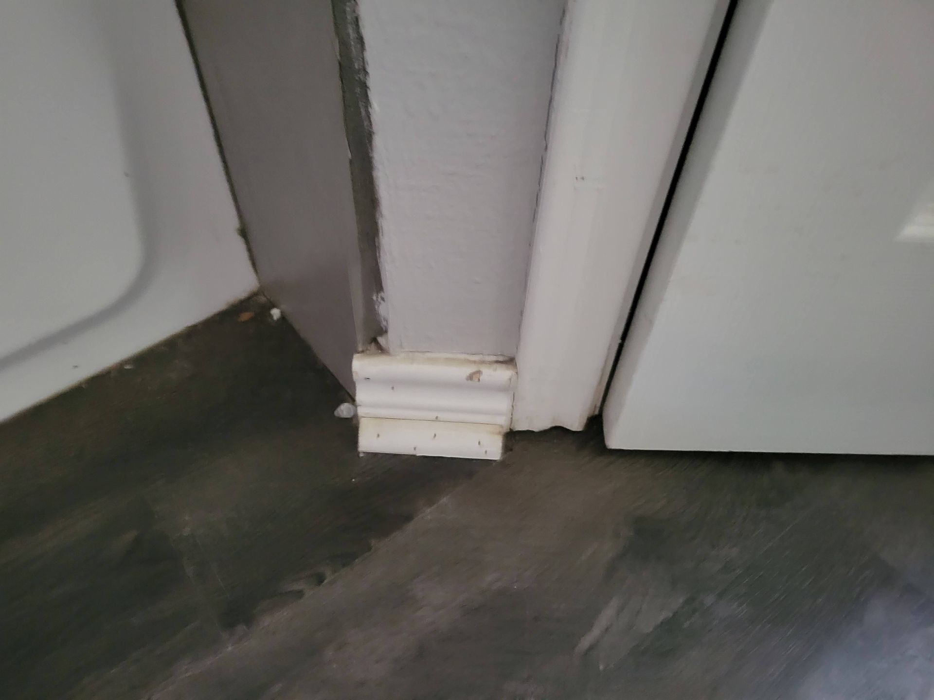 White baseboard and door frame meet gray concrete floor.