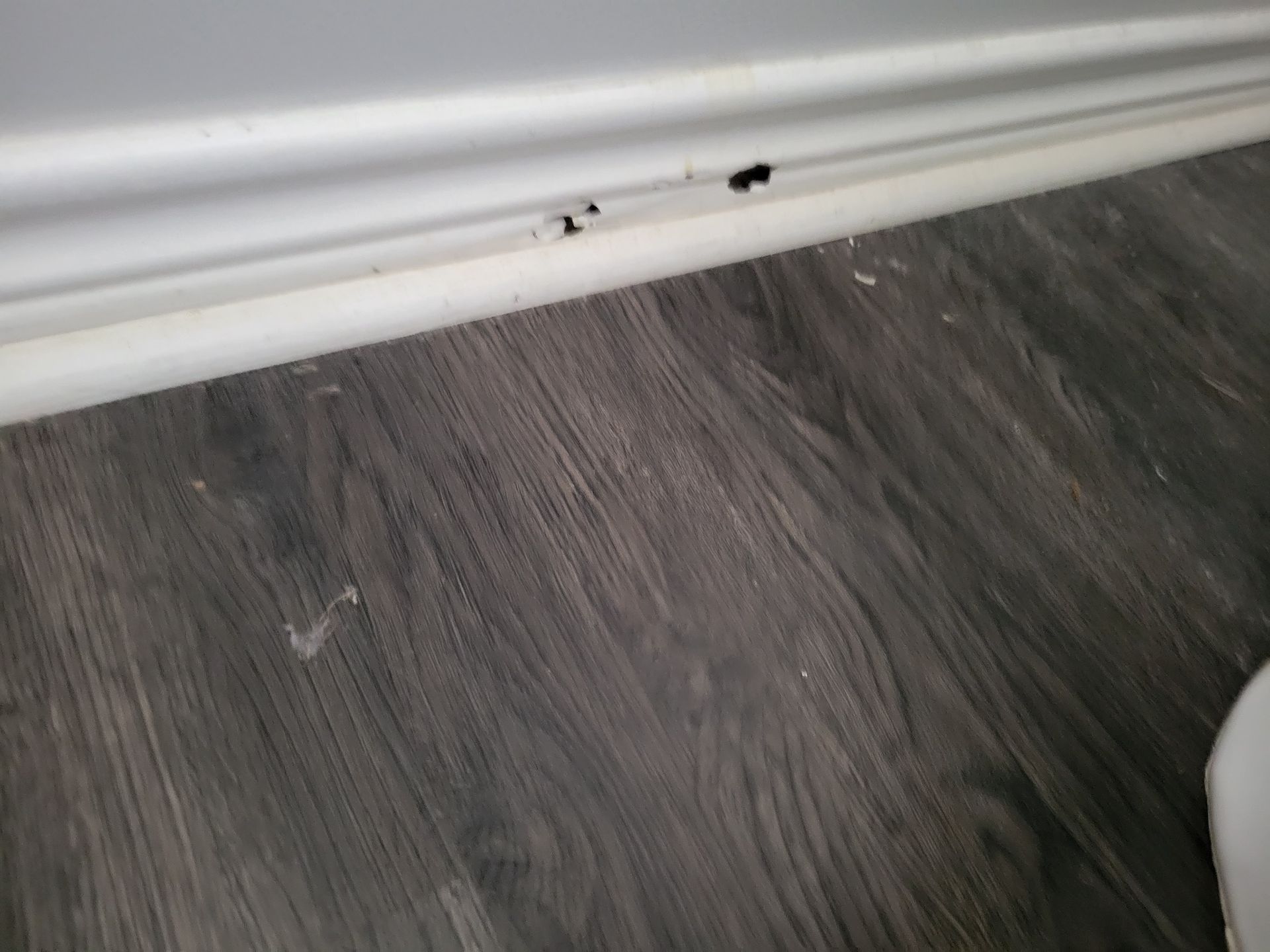 Gray wood-look flooring meets a white baseboard; small dark spots are visible on the baseboard.