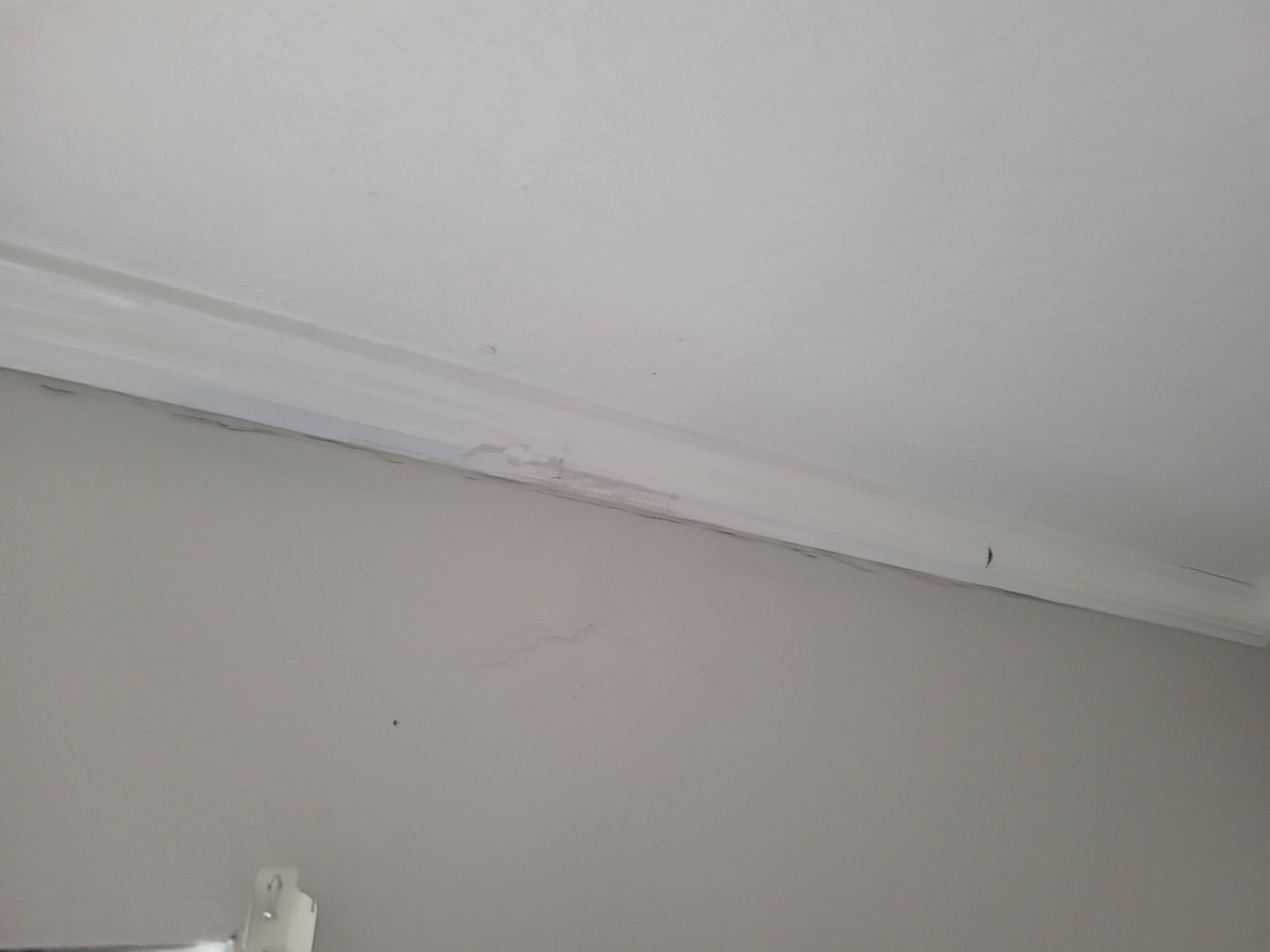 White ceiling and crown molding meet gray wall; possible water damage.