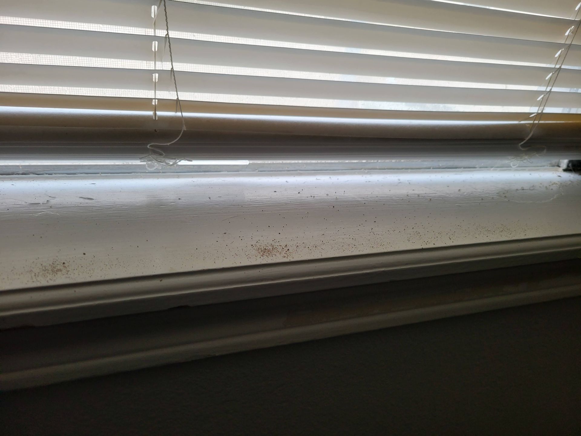 Window sill with blinds above, small brown spots present.