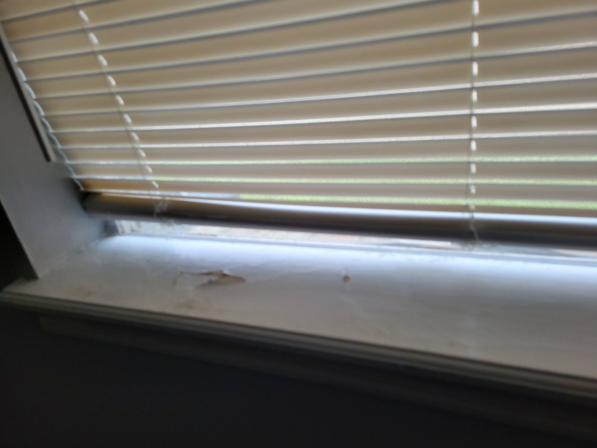Window with closed beige blinds and a white window sill, some damage visible on the sill.
