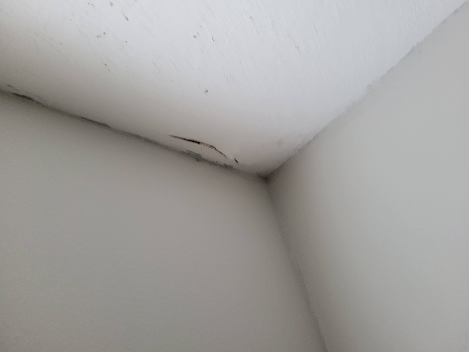 White walls and ceiling meeting at a corner, with a dark crack along the ceiling edge.