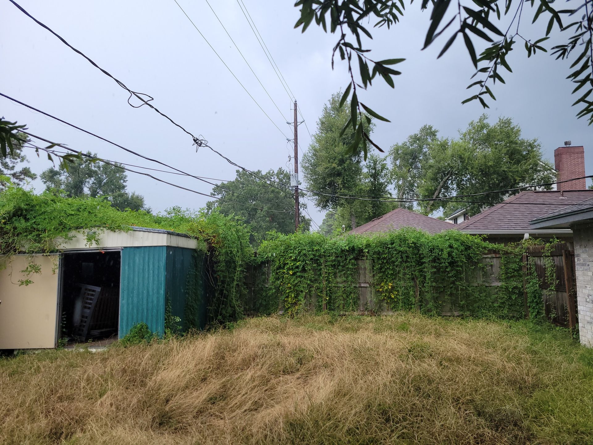 Overgrown backyard with a shed, fence covered in vines, and power lines under a cloudy sky.