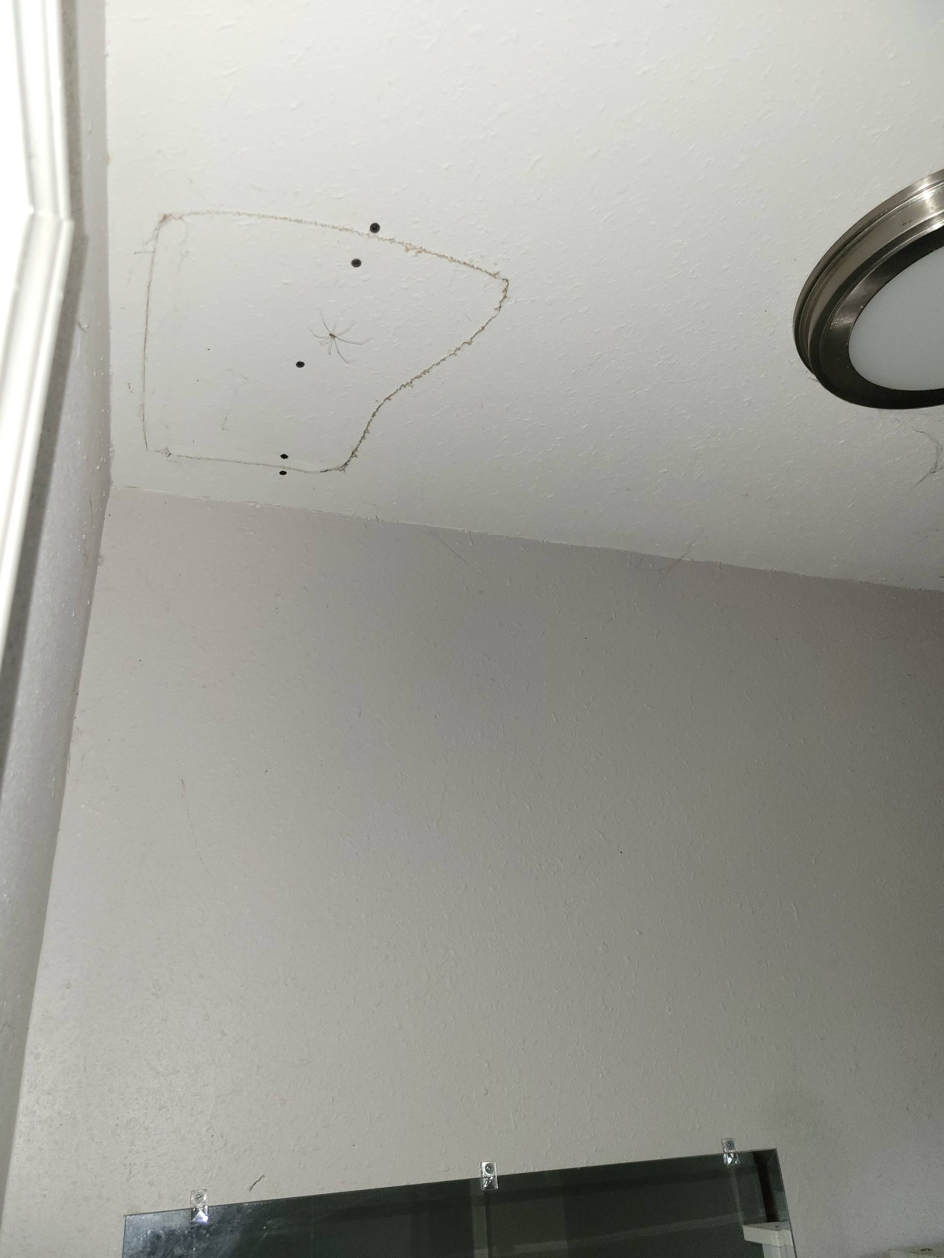 Ceiling with a patched area outlined in black, near a light fixture and window.