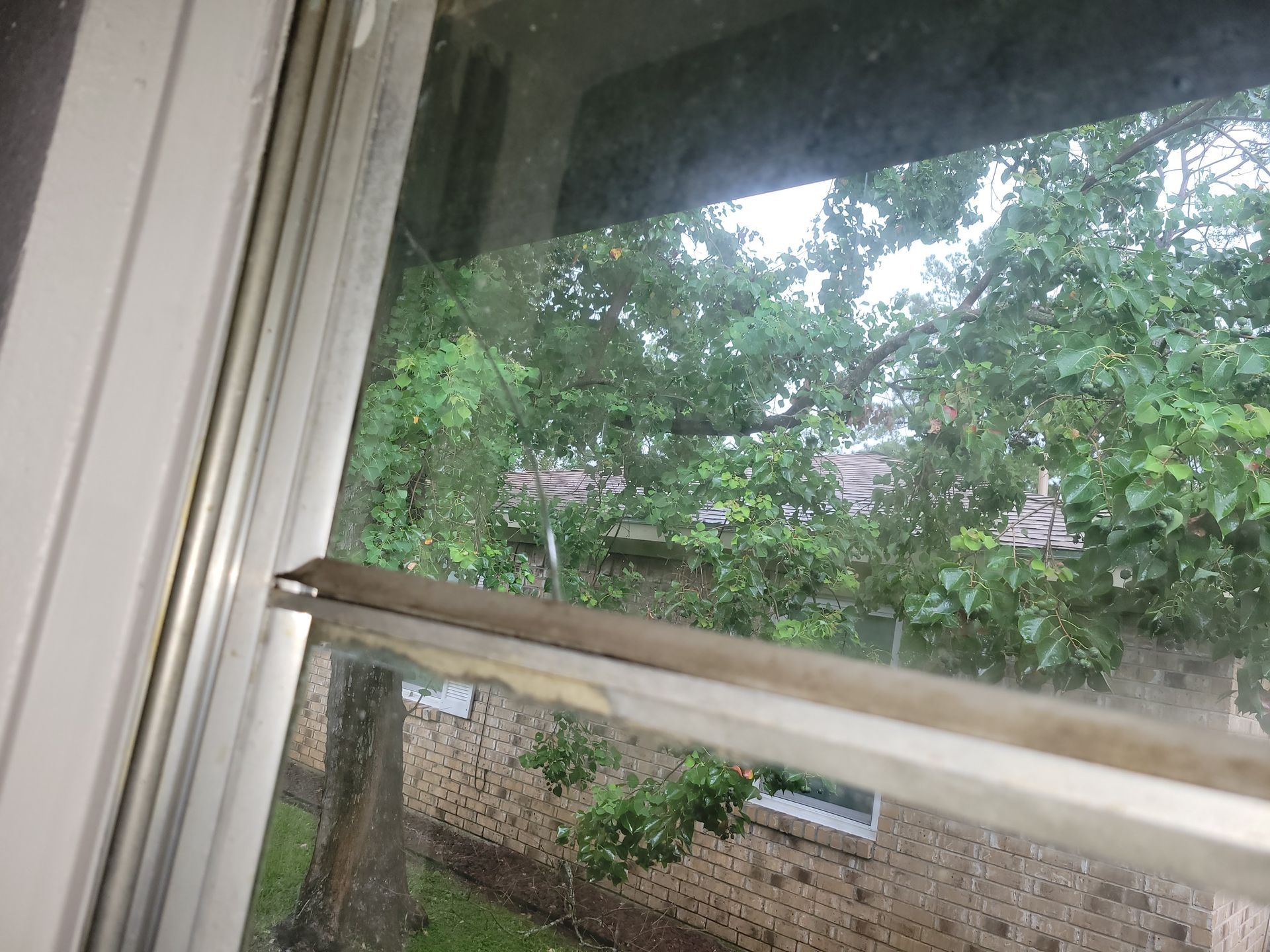 View through a window; outside are green trees and a brick building, overcast sky.