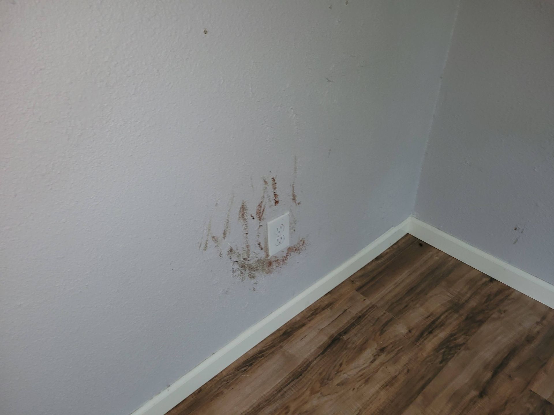 Brown stains and streaks on gray wall near electrical outlet; corner of room with wood-look flooring.