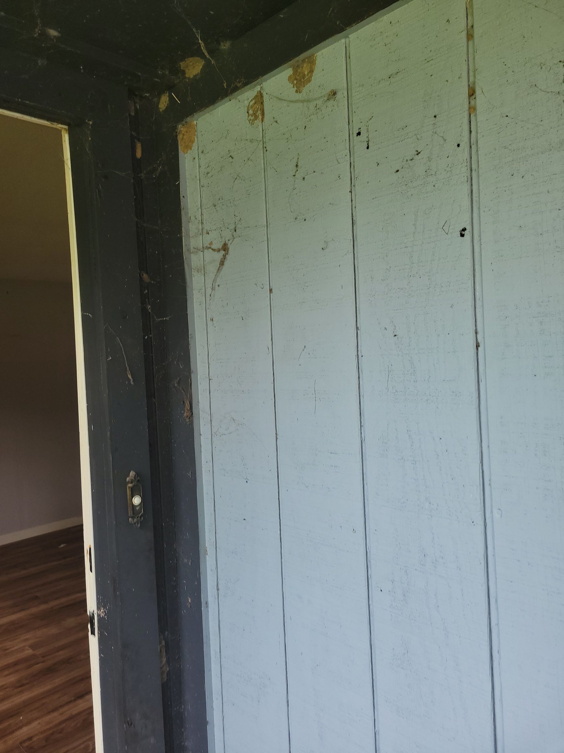 Doorway with light blue paneling and dark trim. Interior with visible hardwood floor.