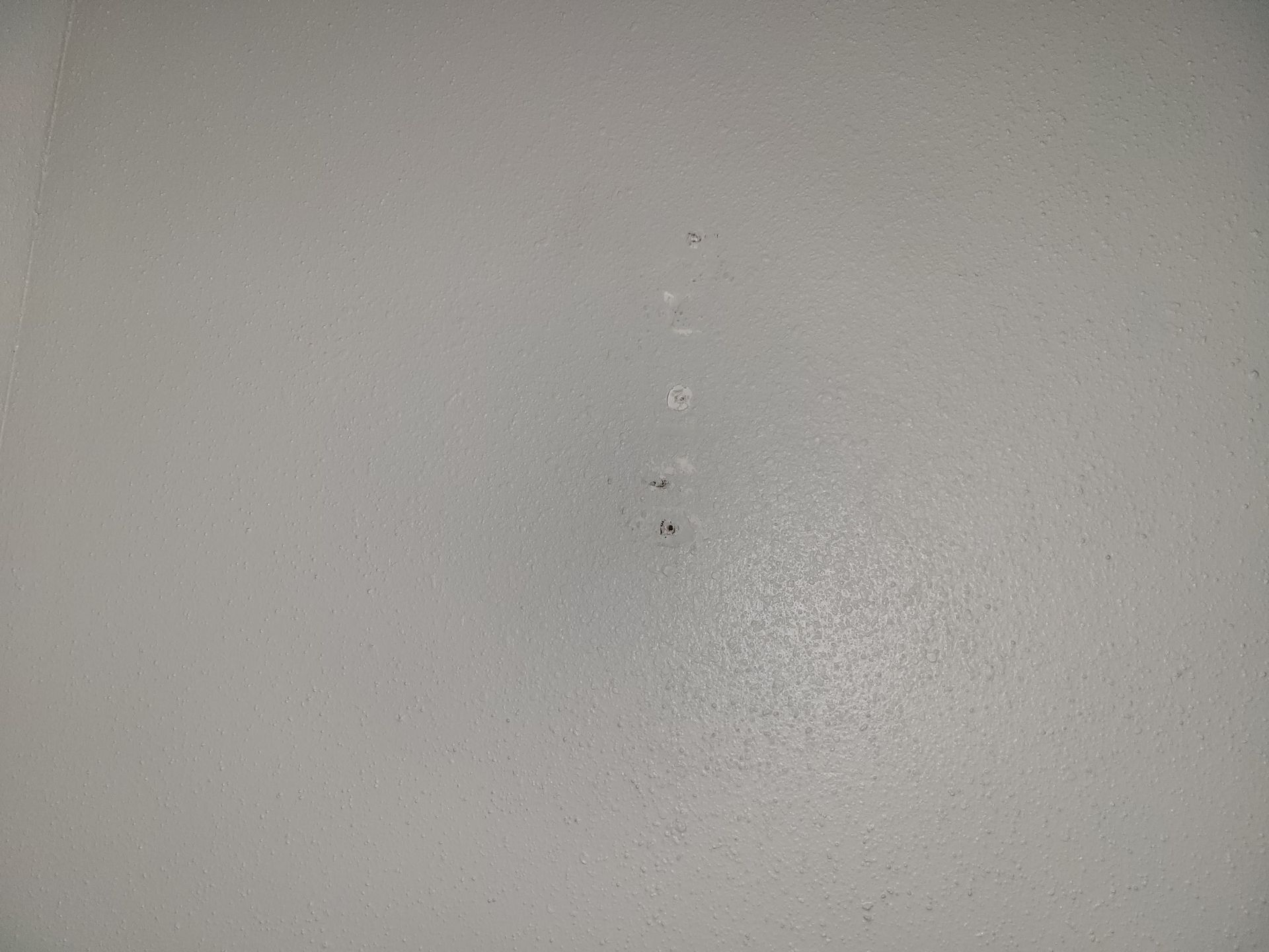 Light gray wall with a vertical line of small, dark spots.