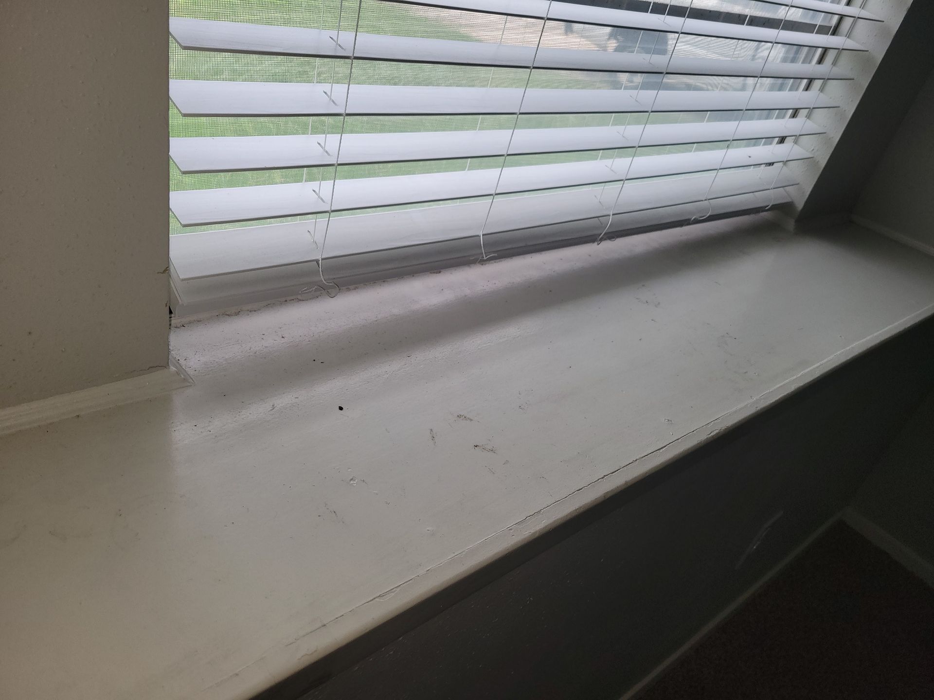 White windowsill with open blinds. Dust particles are visible.