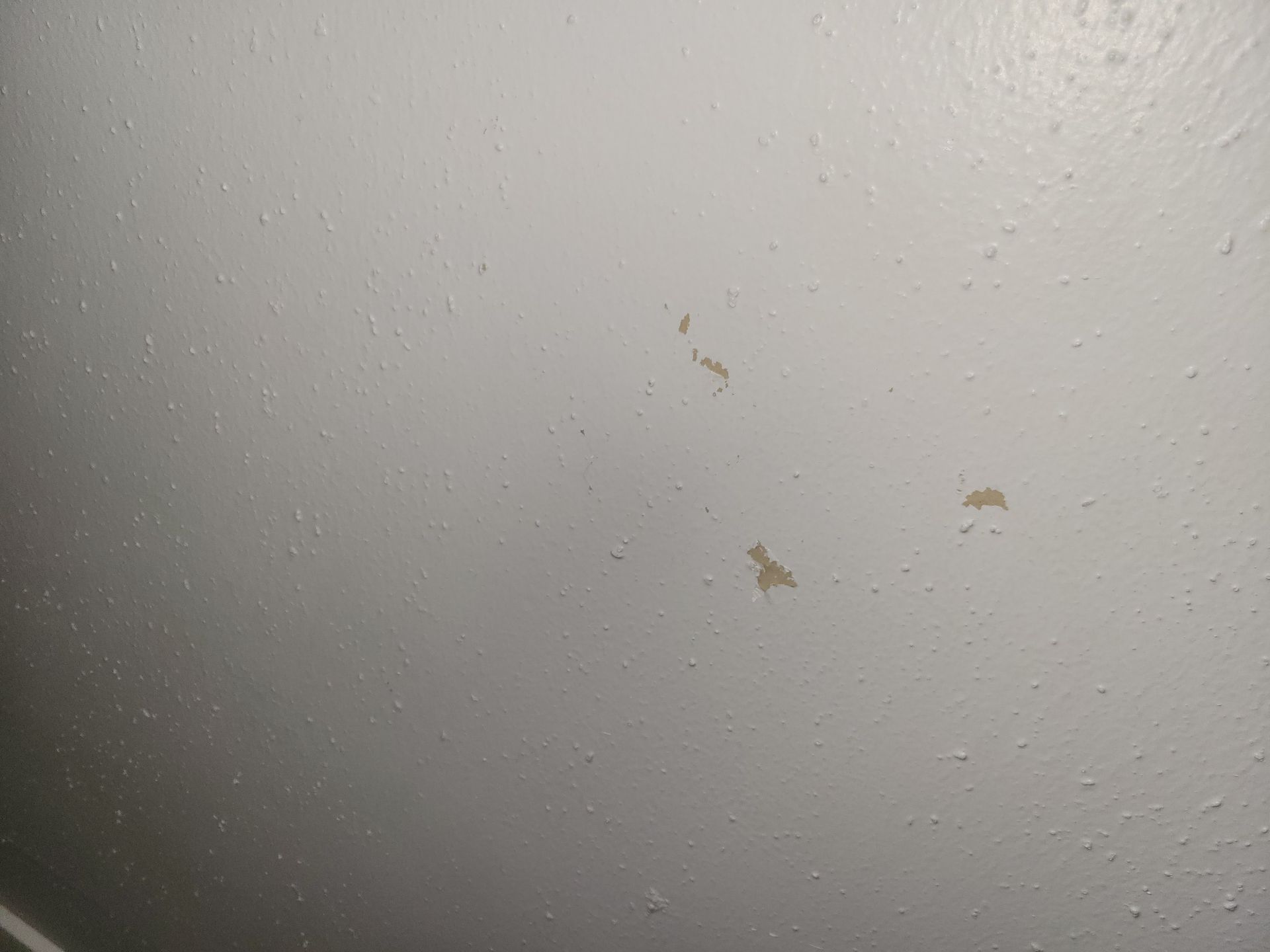 White wall with three small tan-colored stains.
