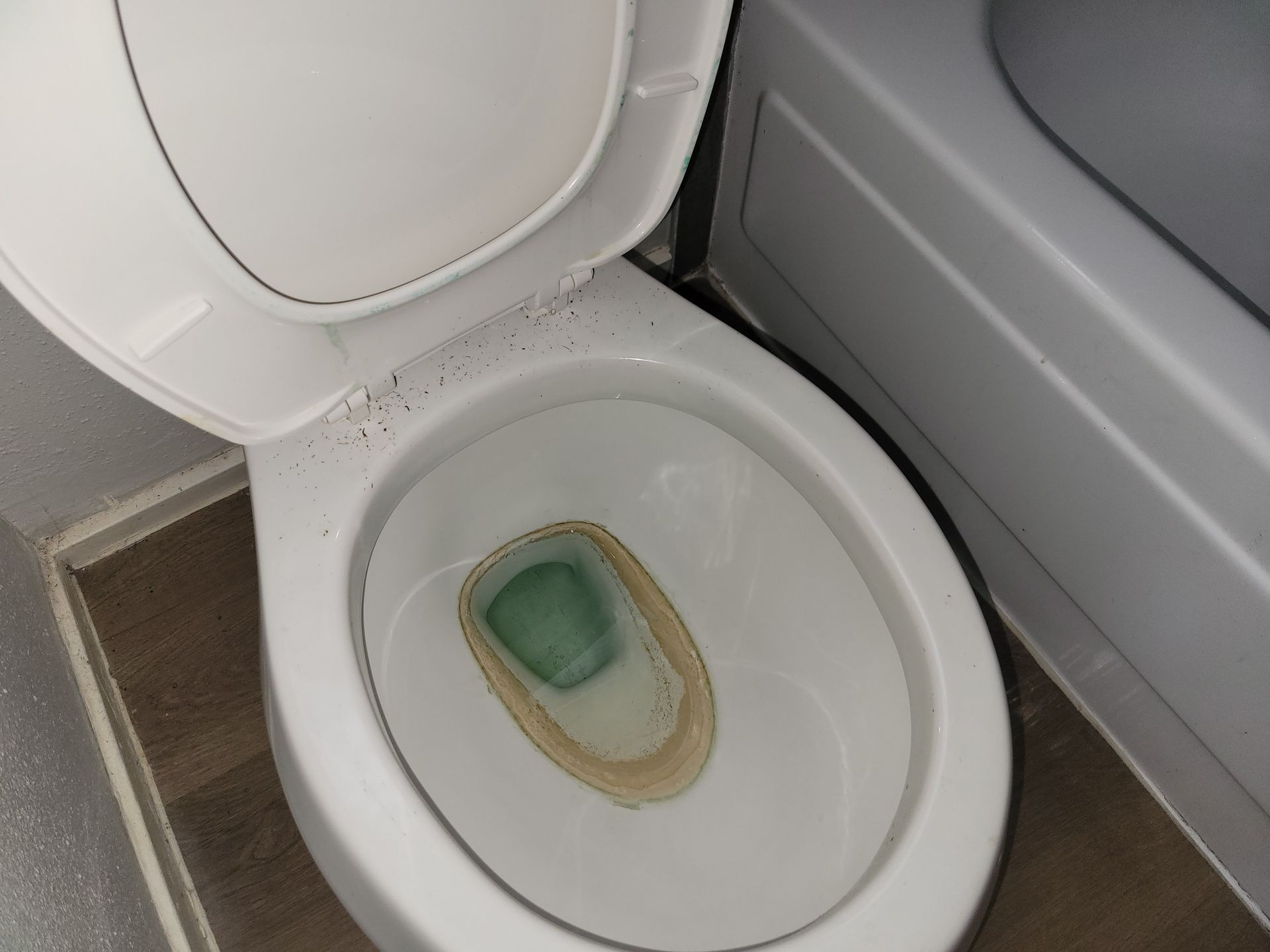 White toilet with the lid up, showing water and stained bowl.