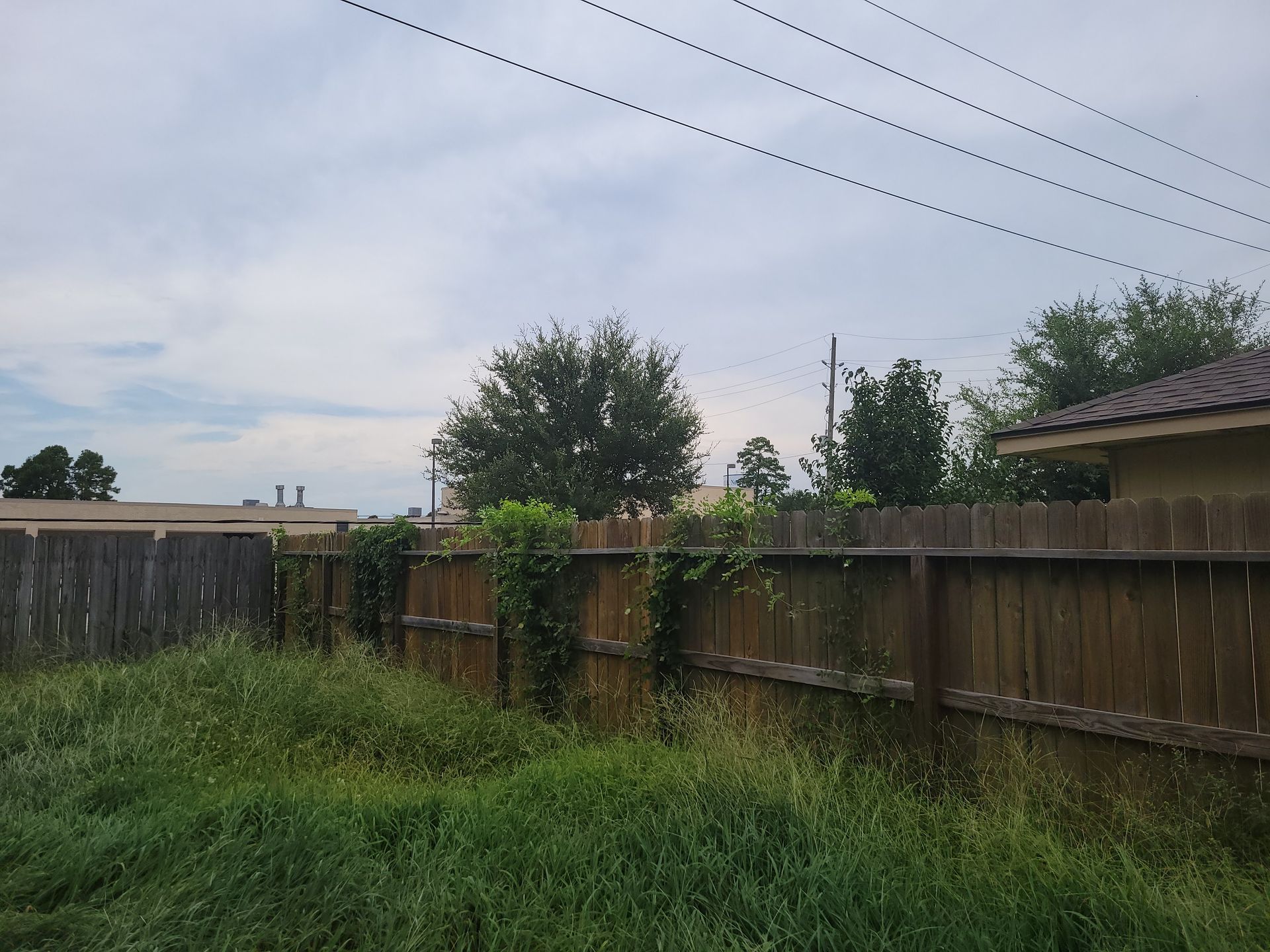 A wooden fence with overgrown grass in front, trees and a house in the background under a cloudy sky.