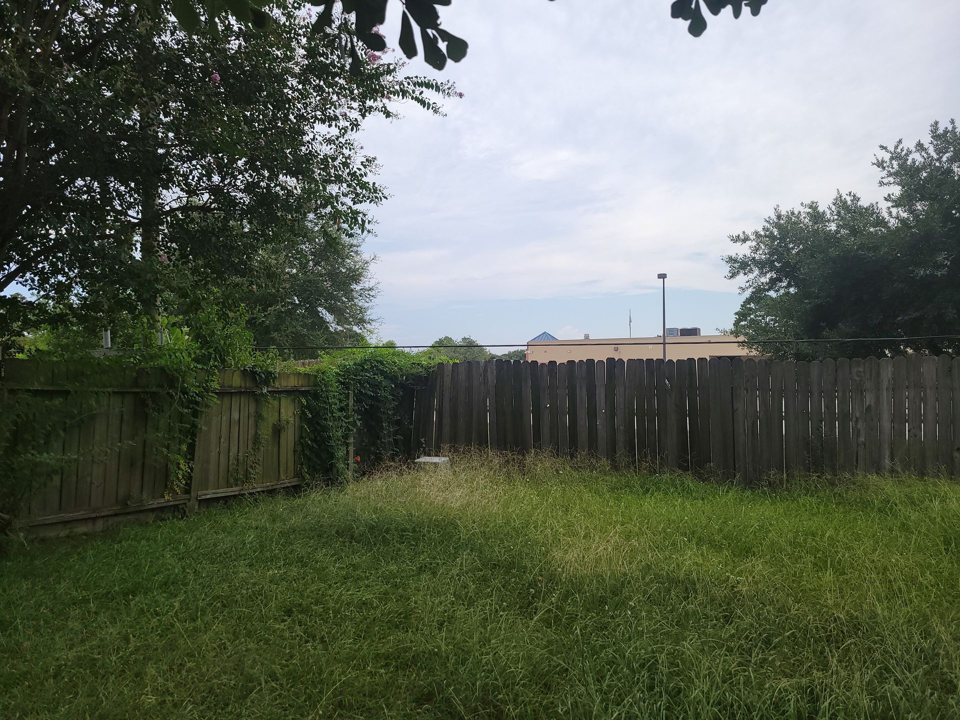 Grassy backyard with a weathered wooden fence, trees, and cloudy sky.
