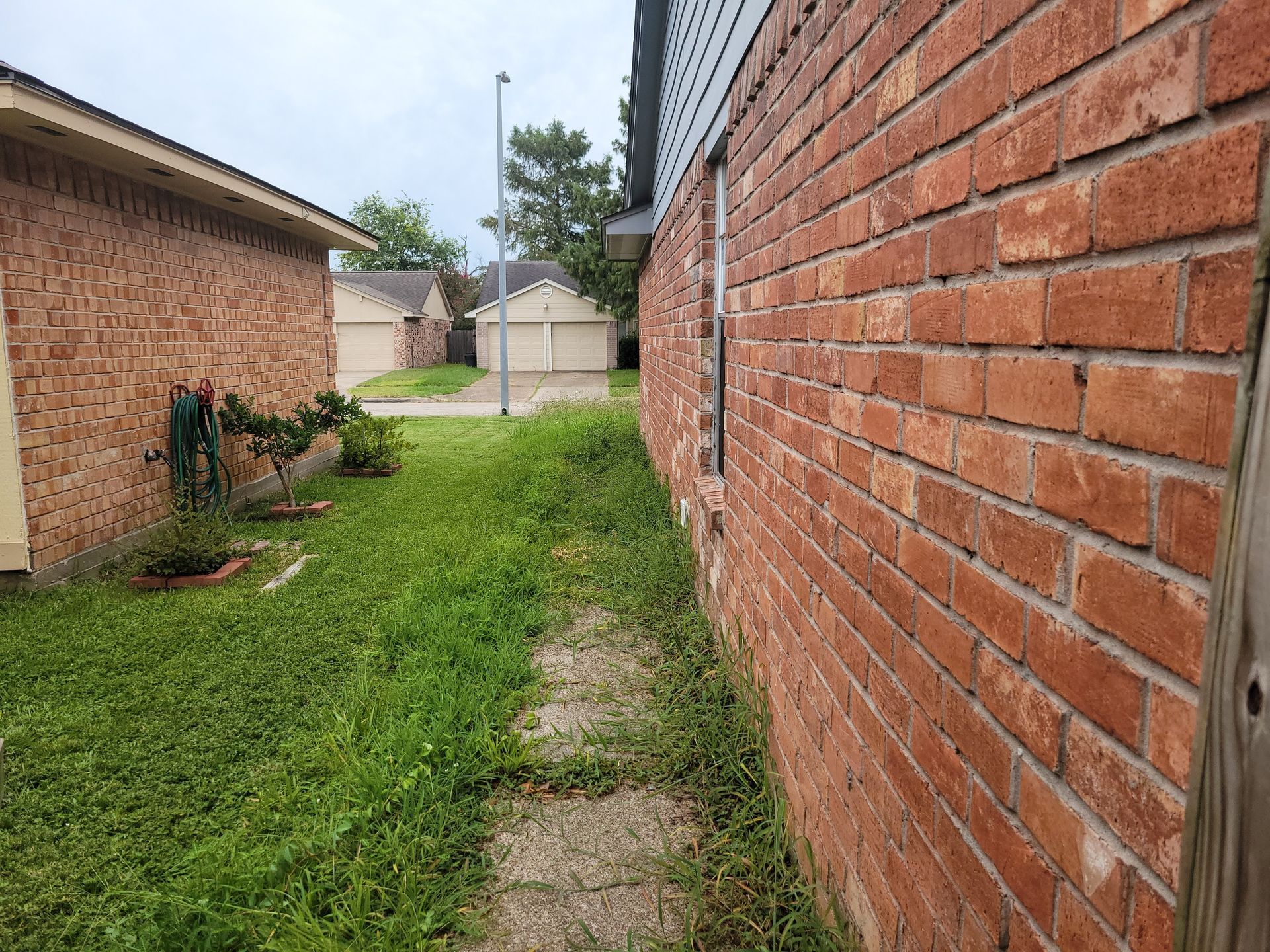Narrow grassy yard with brick buildings and a sidewalk. Overcast sky.