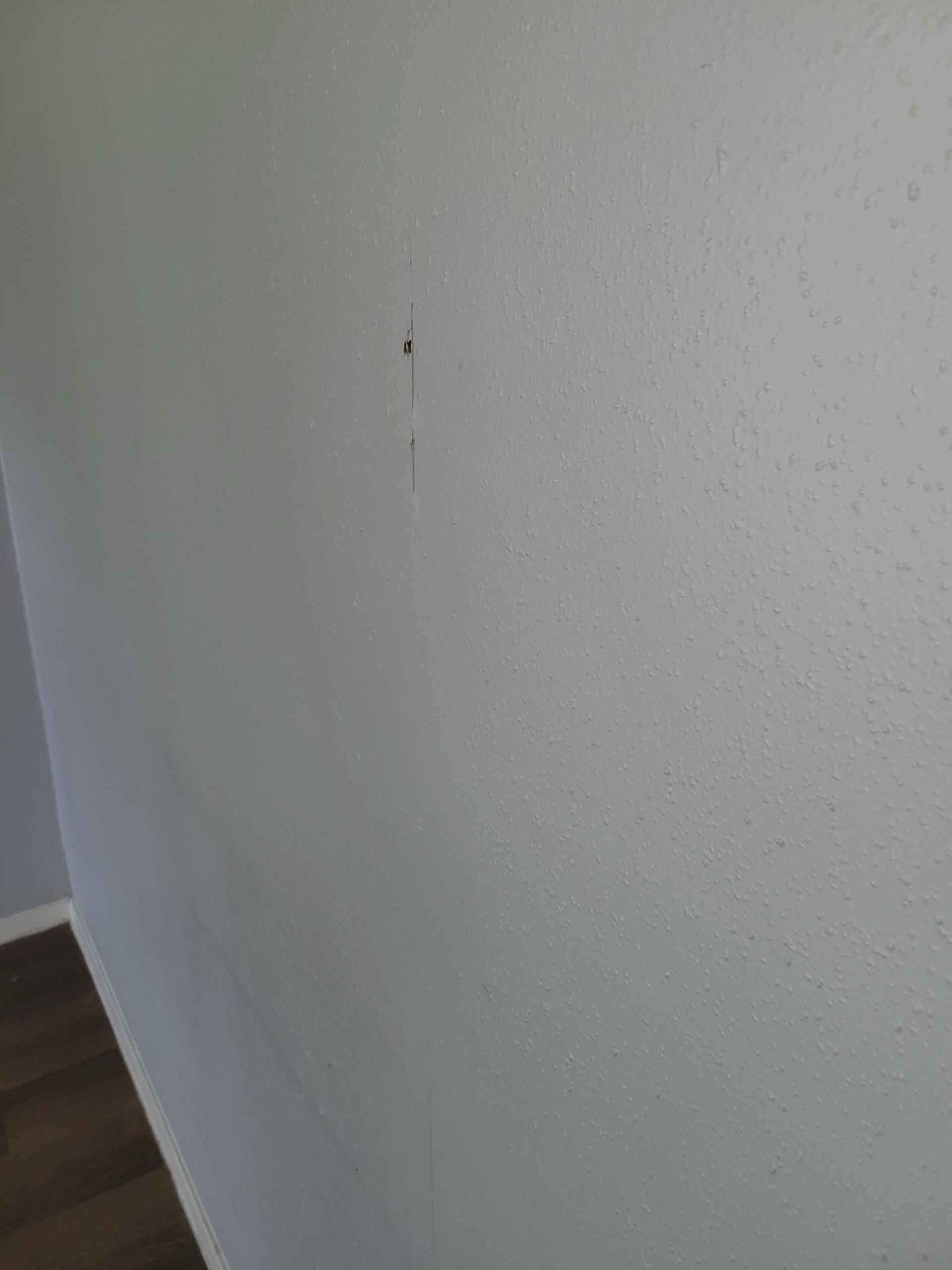 Gray wall with a few small dark marks and slight texture. Wooden floor in the corner.