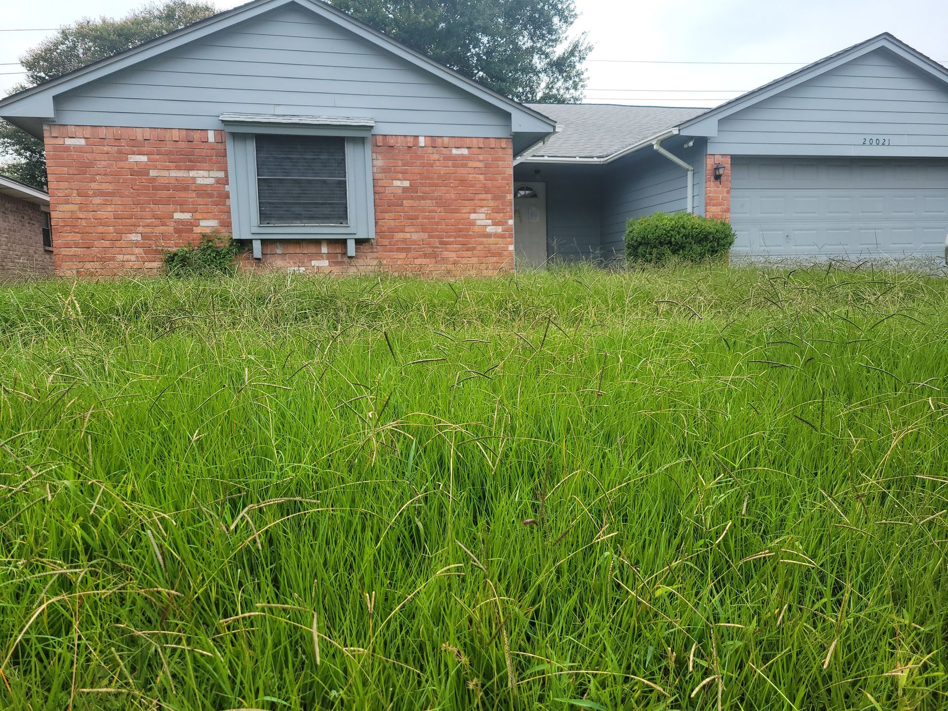Overgrown lawn in front of a brick and gray-sided house with a visible garage door.
