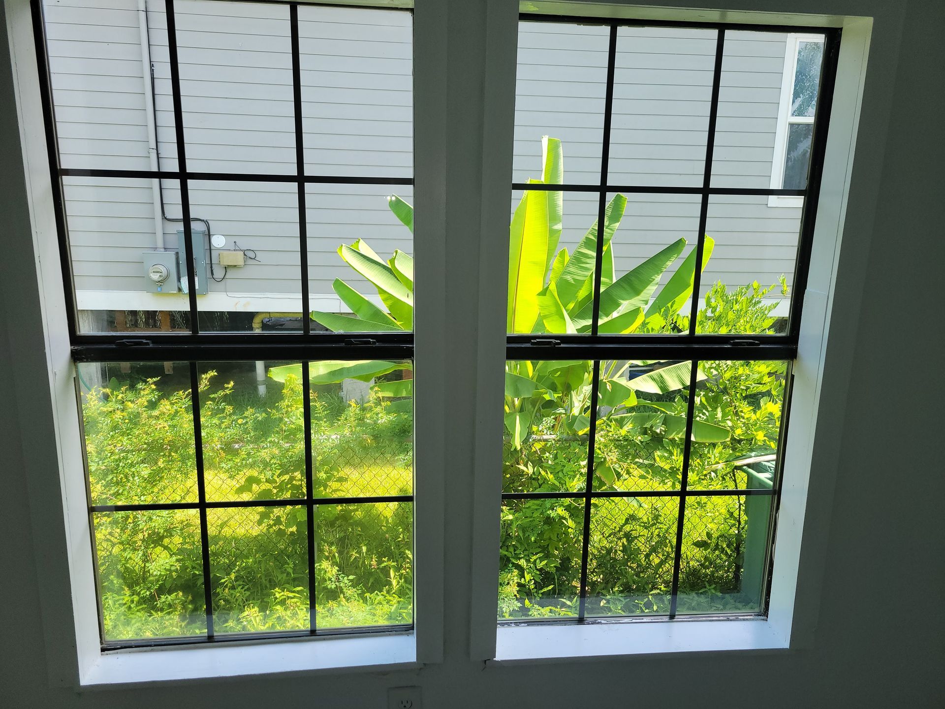 Two black-gridded windows looking out onto lush green foliage and a gray house exterior.