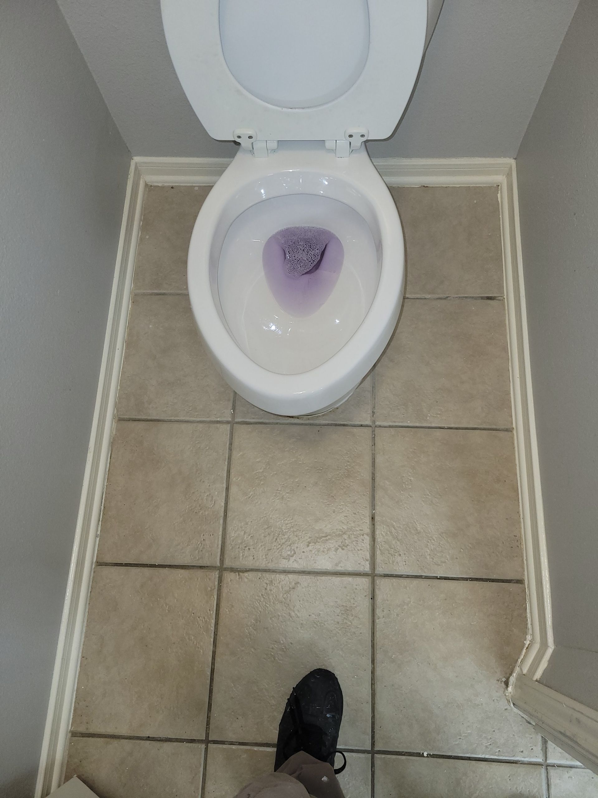 Overhead view of a toilet with the lid up, purple water, and a tiled floor.