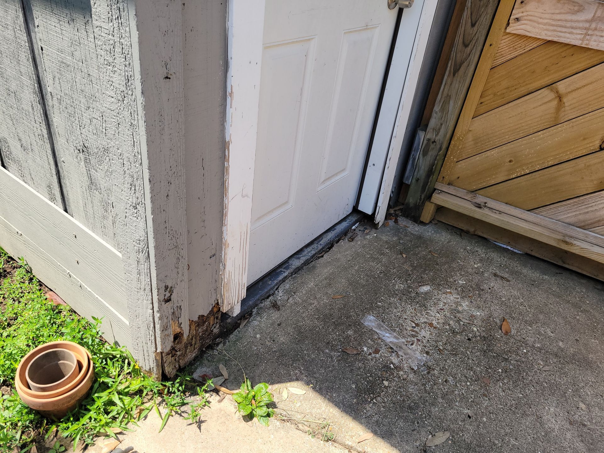 White door with damaged wood trim, concrete path, and gray siding.