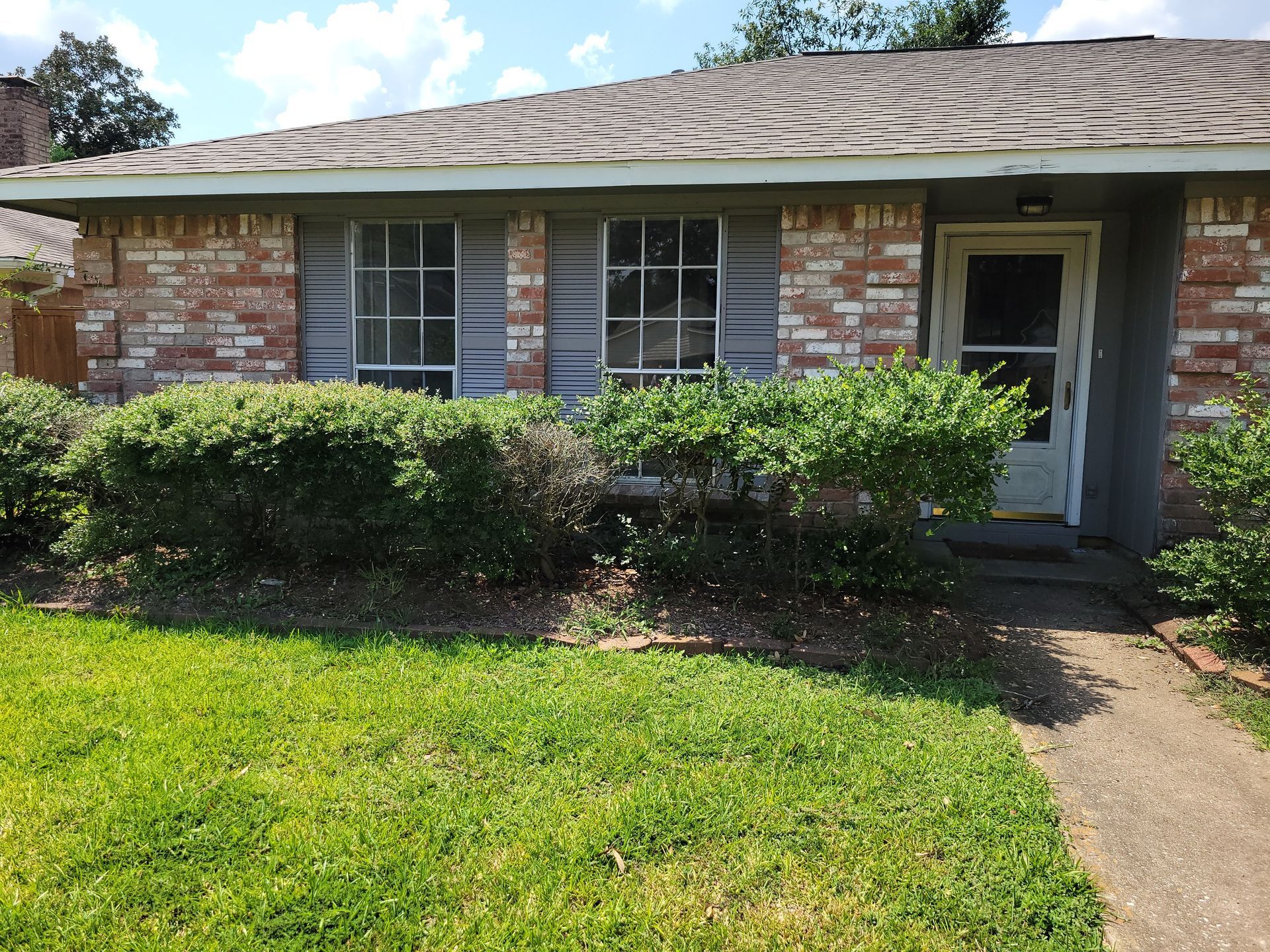A brick house with grey shutters and a door, overgrown bushes in front, on a sunny day.