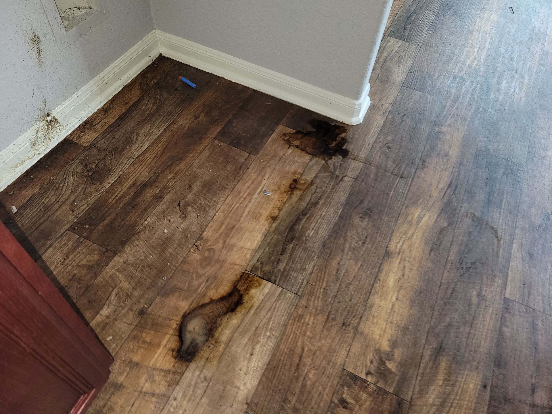 Brown liquid stains wood-look flooring near a white baseboard and wall corner.