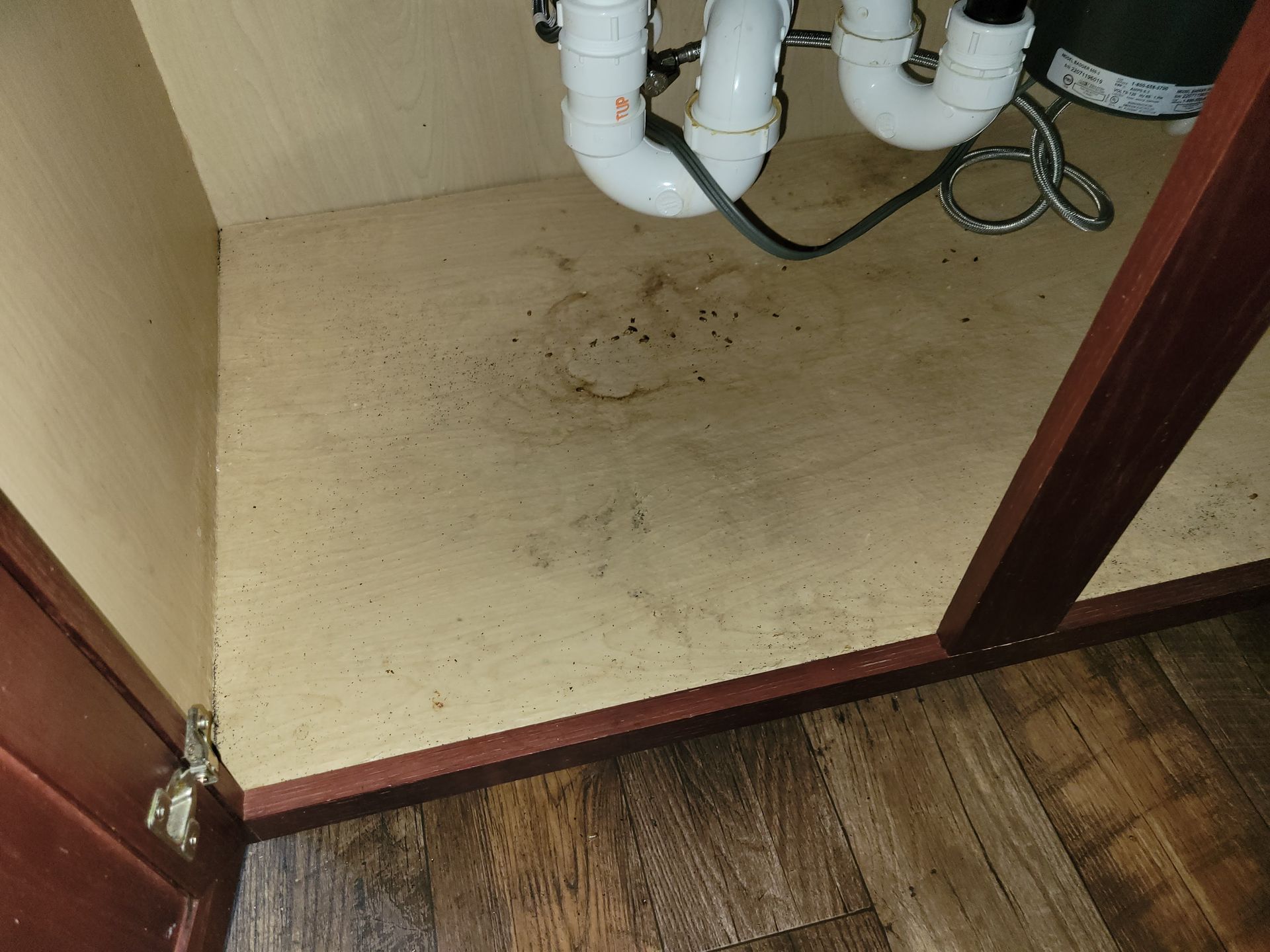 Interior of a cabinet under a sink with plumbing and staining on the wooden bottom.
