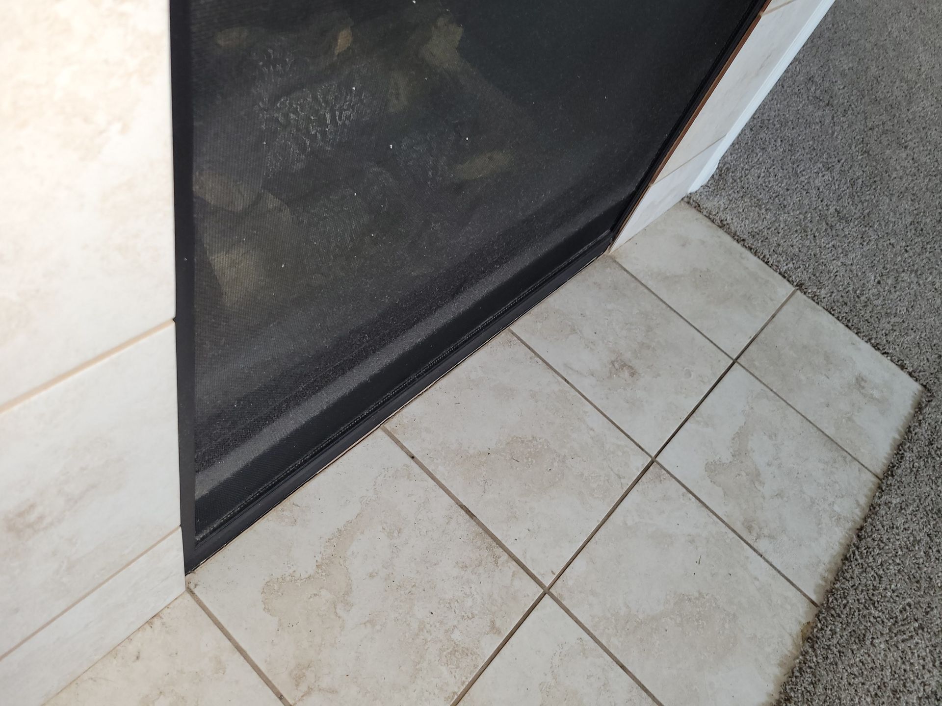 Black fireplace screen sits on beige tiled hearth next to carpet.