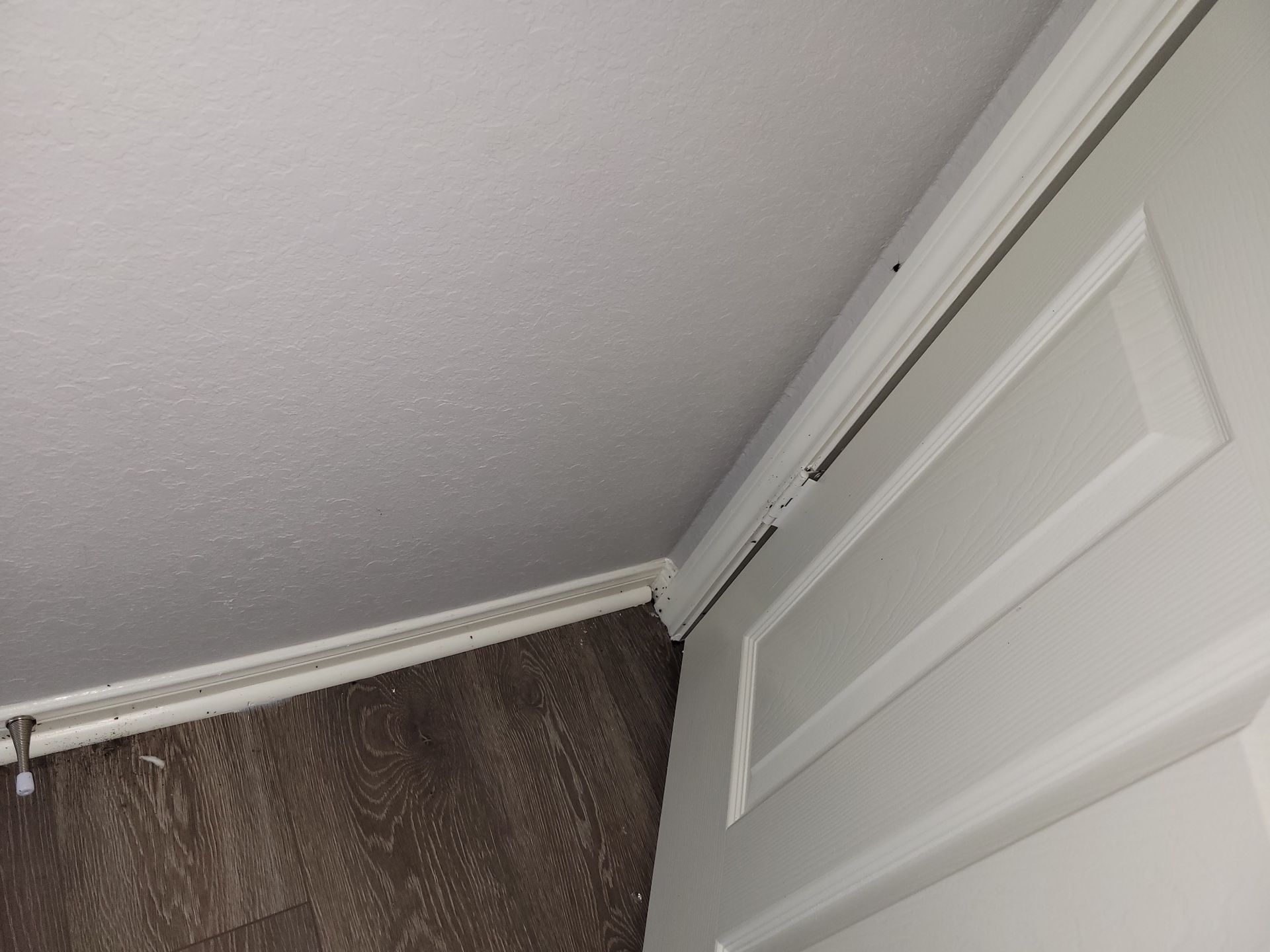 Corner of a room with white door and ceiling. Brown floor meets the wall.