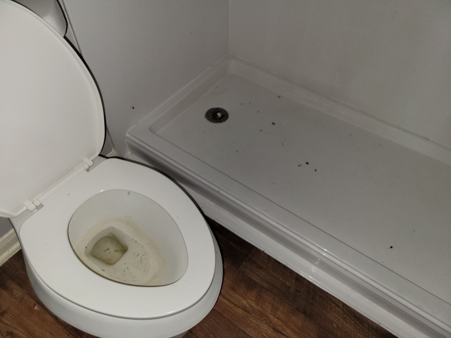Toilet with open seat next to a white shower in a bathroom. Dark specks are visible.