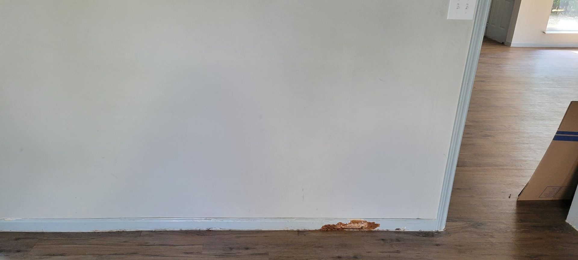 A wall with water damage on the baseboard, and hardwood flooring.