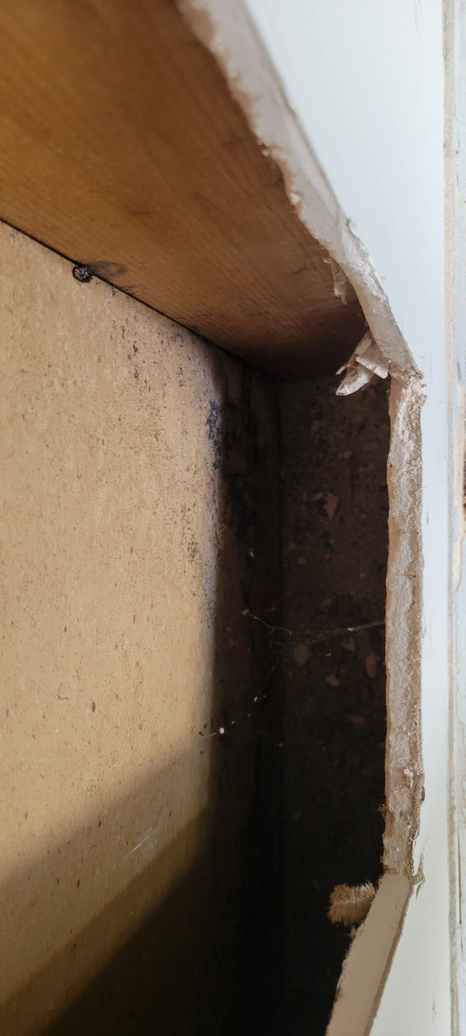 Inside a cabinet frame, showing wood and dark interior with possibly mold or dirt.