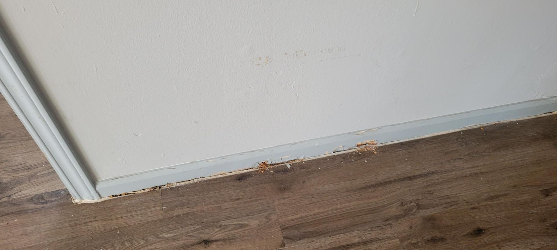 A corner where white wall meets brown flooring, with damaged, crumbling wall base.