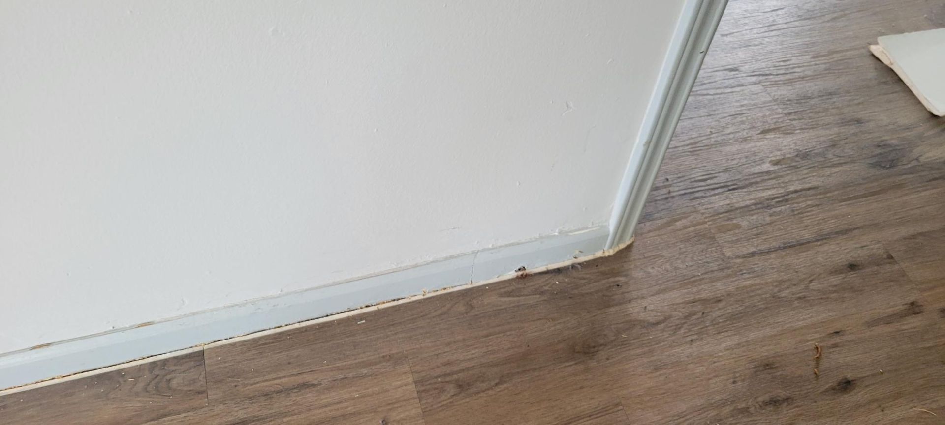 White wall corner meets wood-look floor.