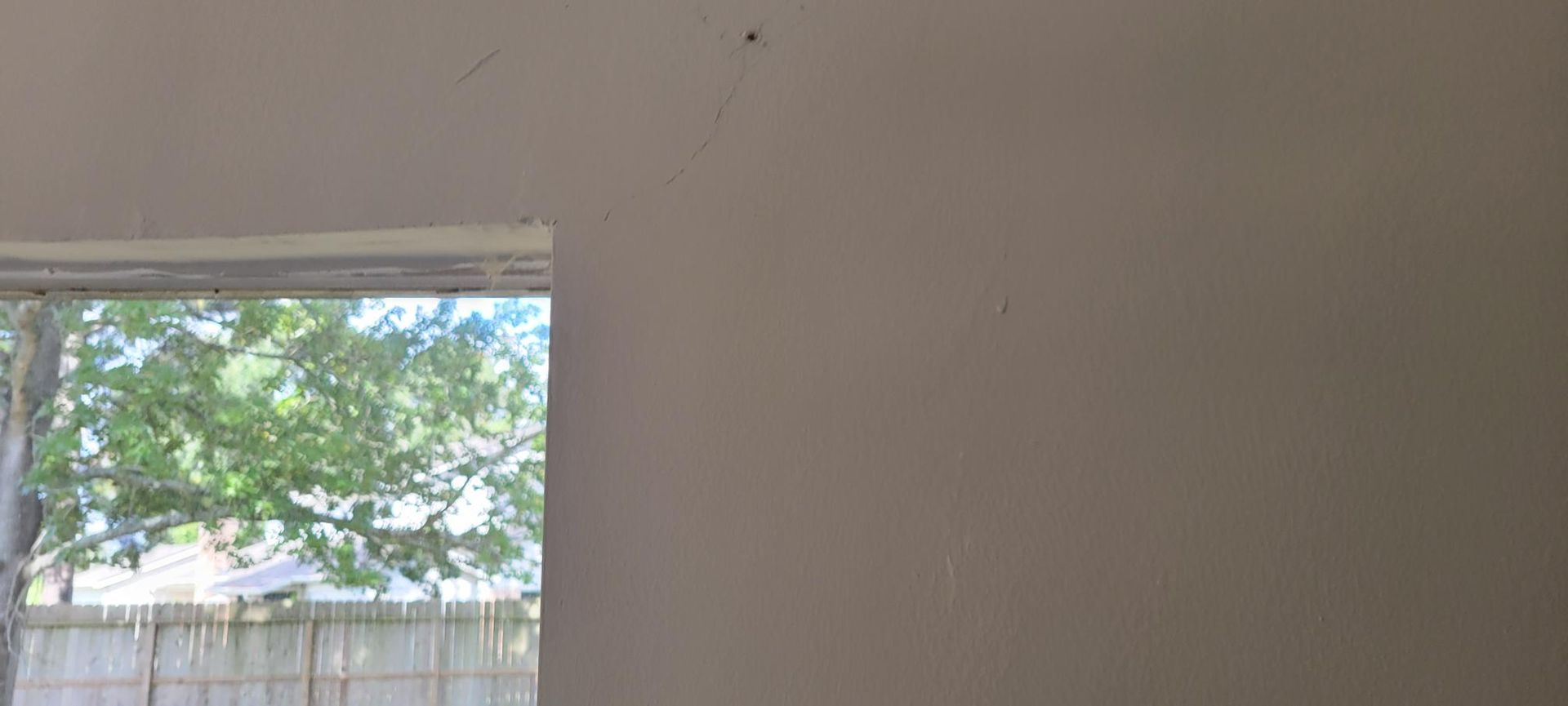 Interior view of a wall and window, with a view of greenery outside. The wall is light beige.