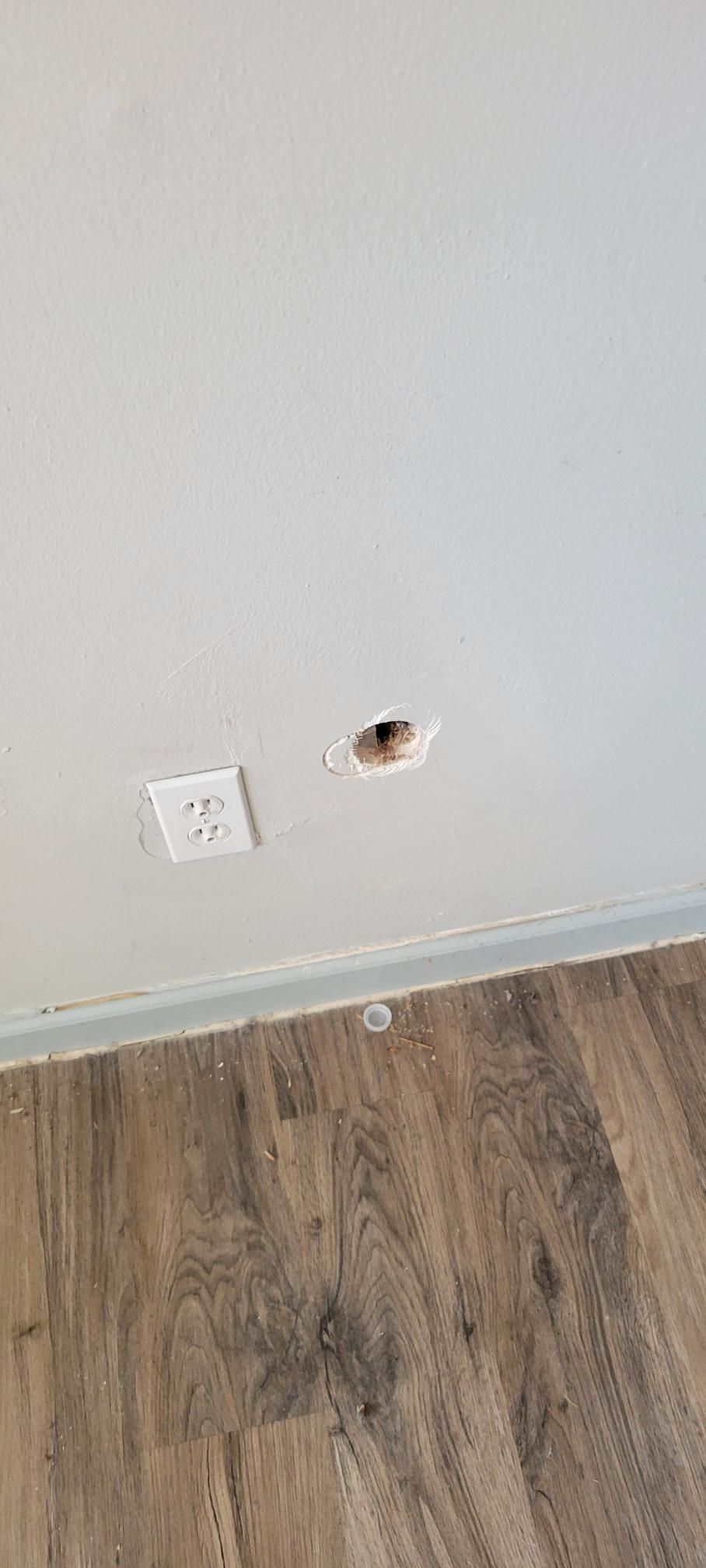 White wall with an electrical outlet and a hole above a wood floor.