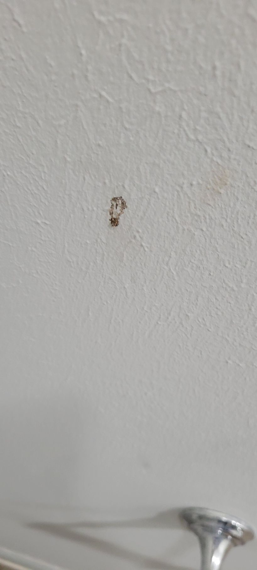 A small, dark spot on a white ceiling, possibly a stain or defect.