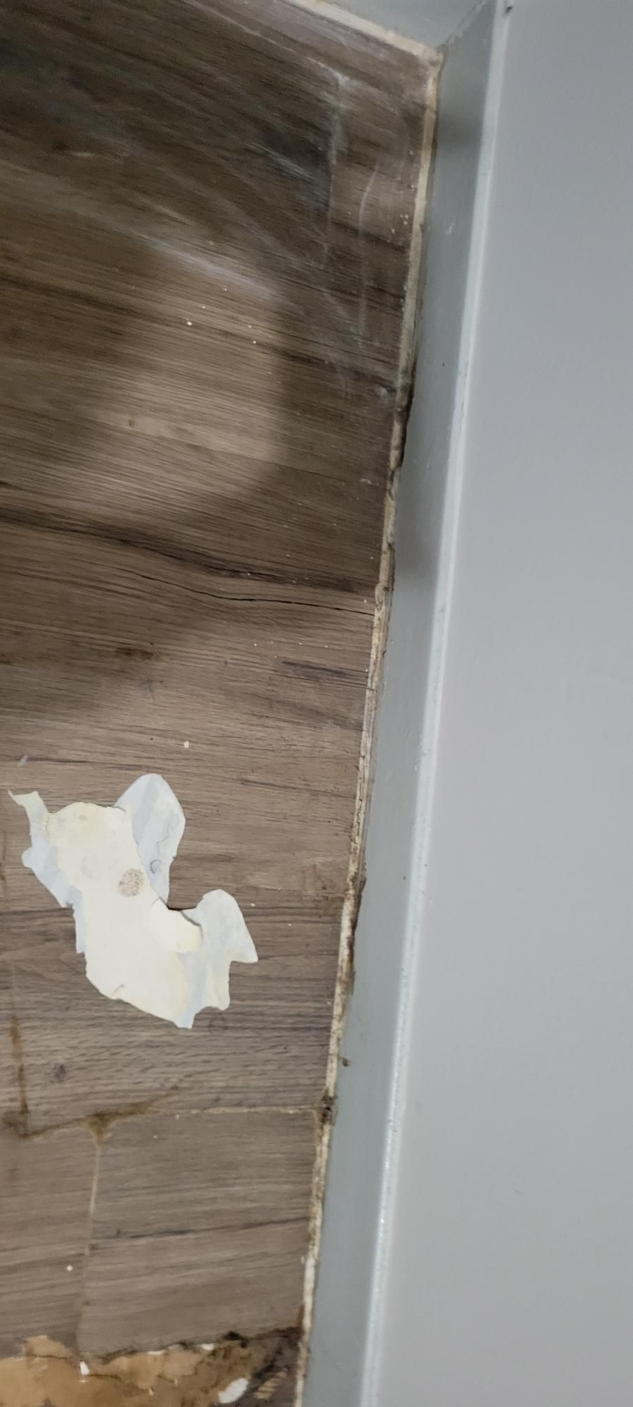 Close-up of floor meeting wall, showing damaged wooden floorboards and a white wall corner.