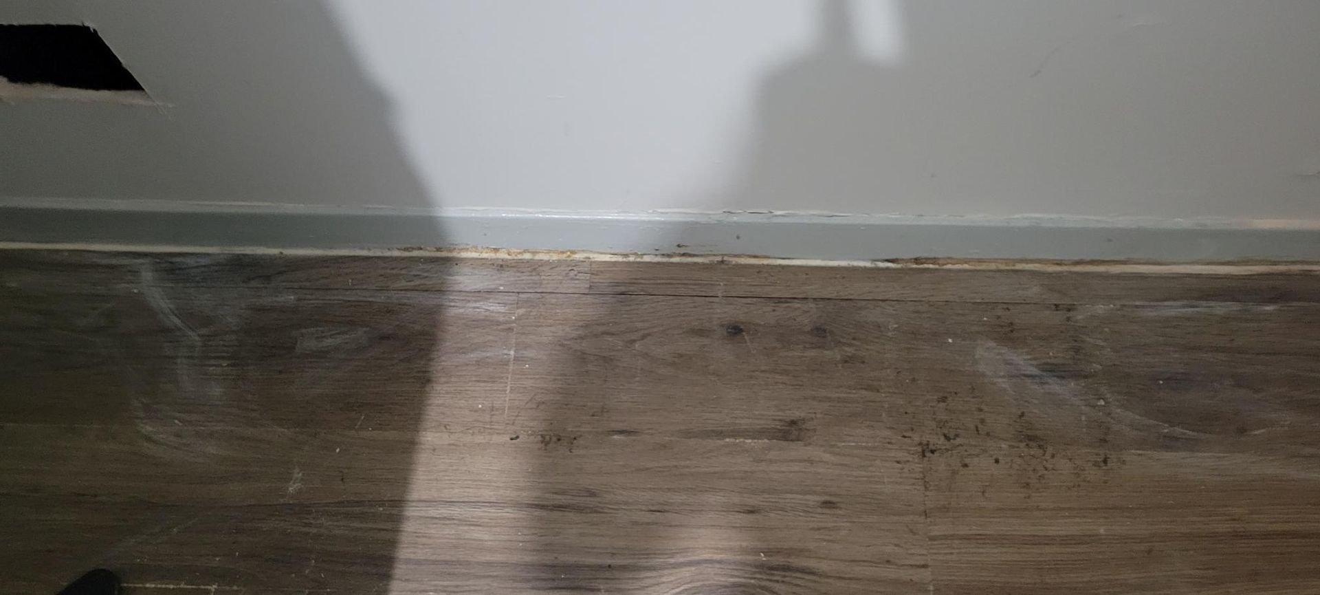 A wood floor and a white wall with a baseboard. There is a shadow cast across the wall.