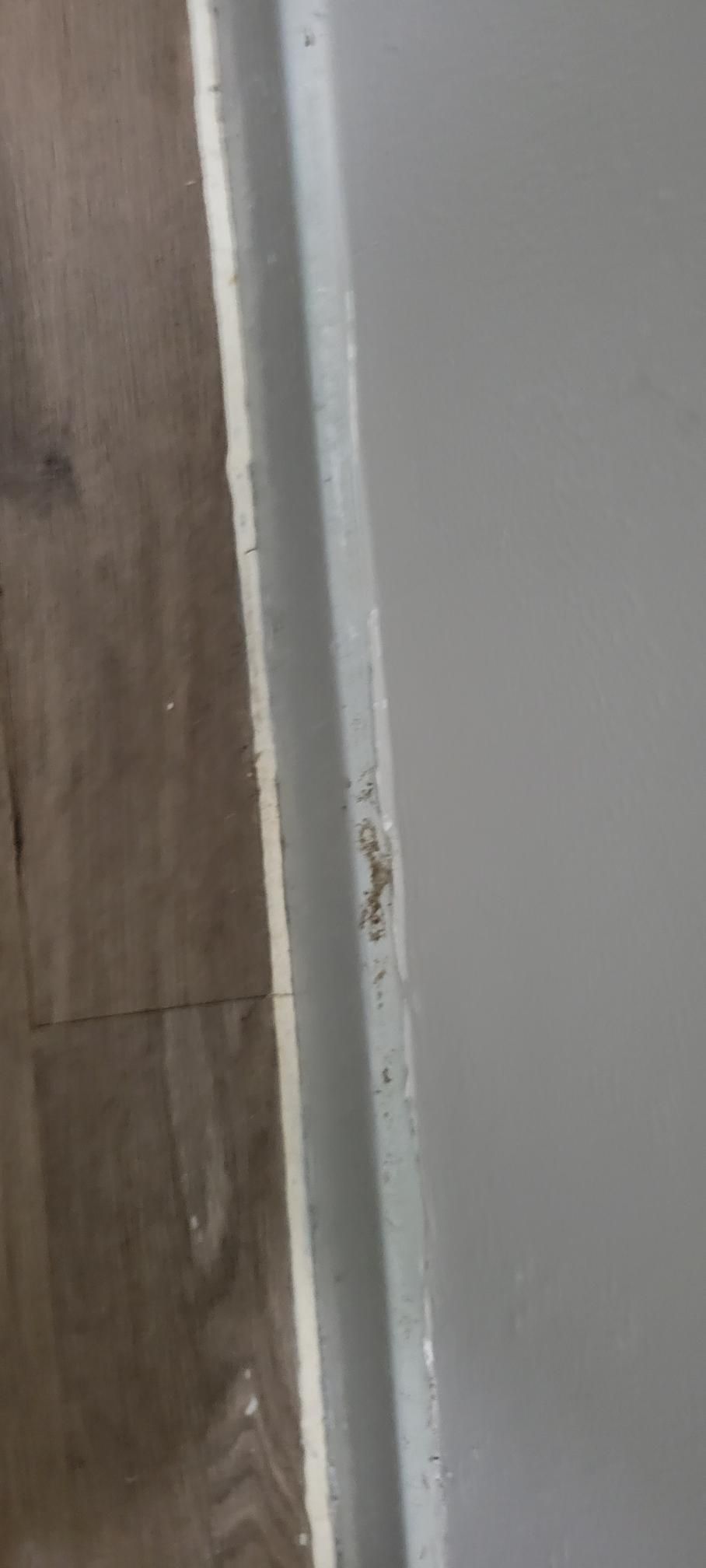 Floor meeting a white wall with caulk along the seam.