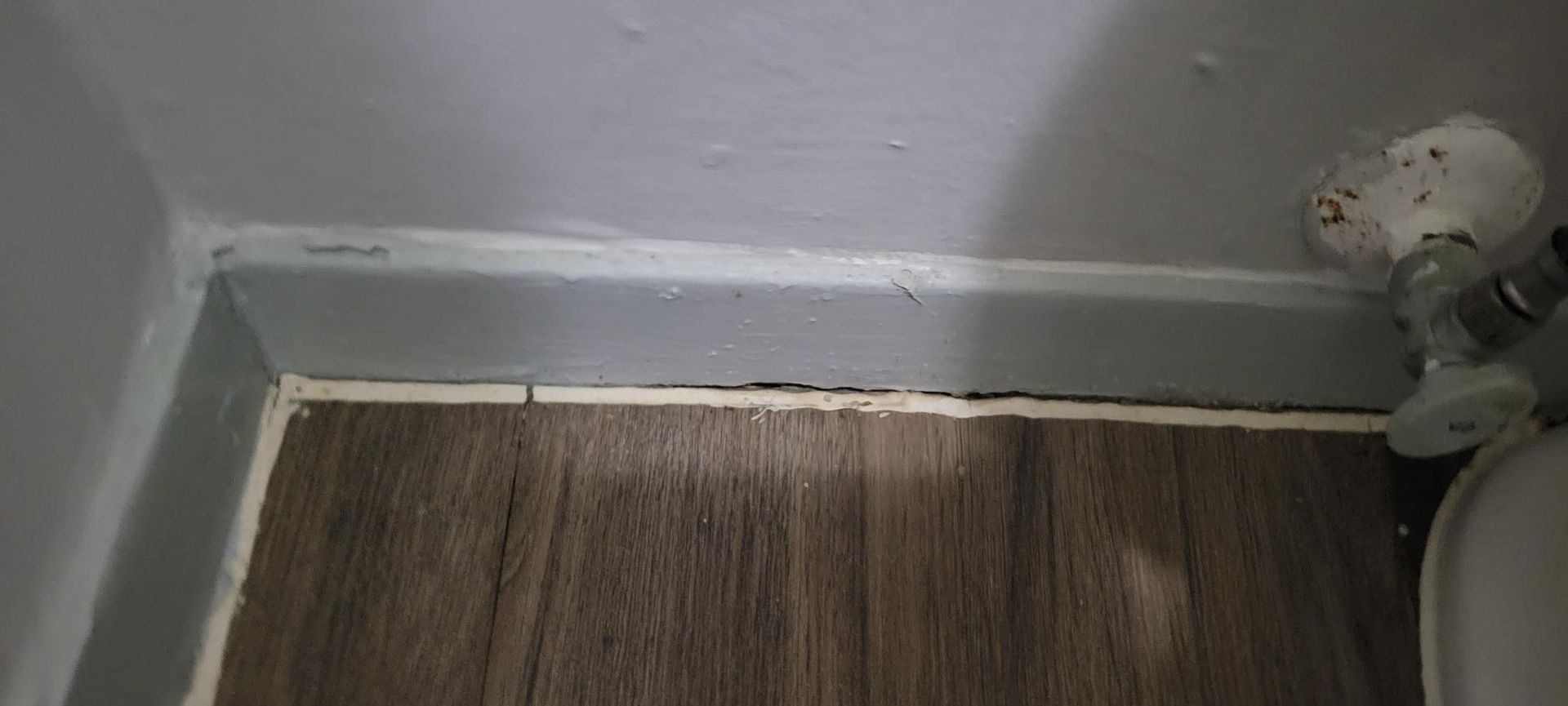 Close-up of a bathroom baseboard. Gray walls, wood-look flooring, and a pipe and fixture.