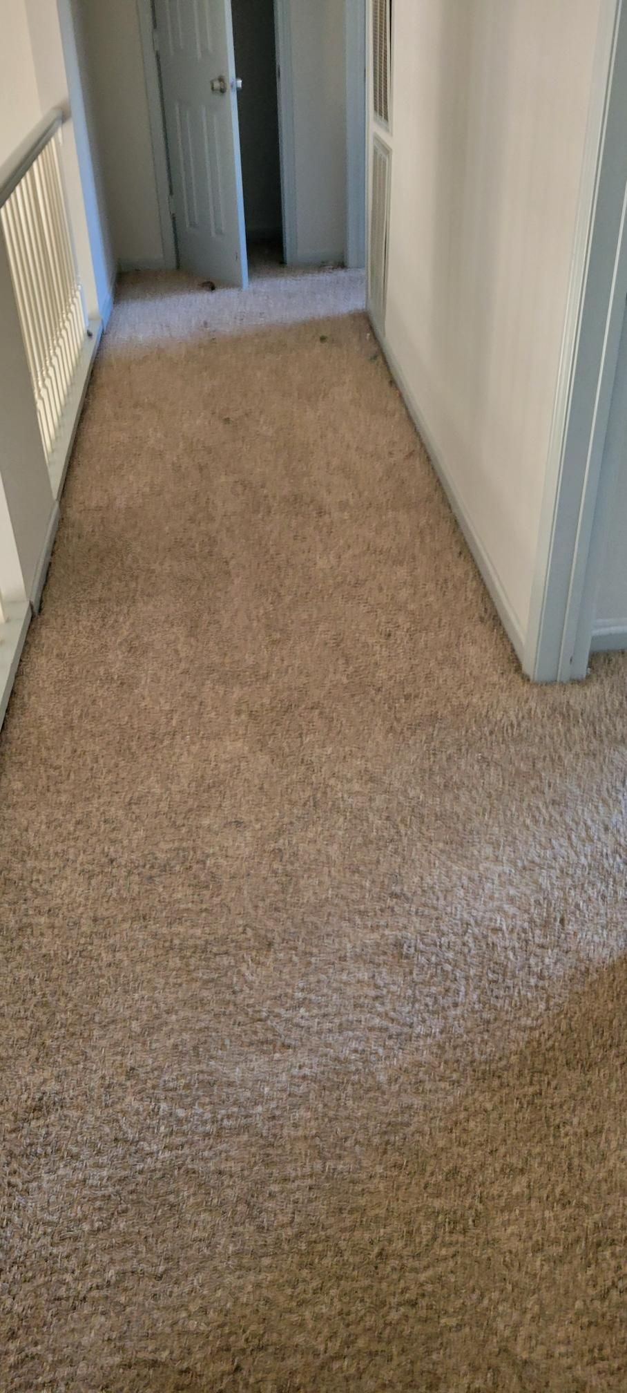 A hallway with light brown carpet and white walls. A door is open at the end of the hall.