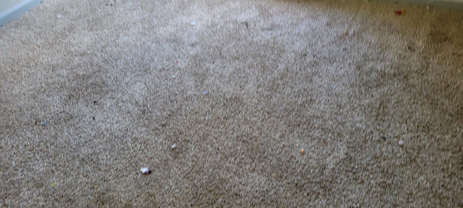 Close-up of a neutral-toned carpet with some debris.