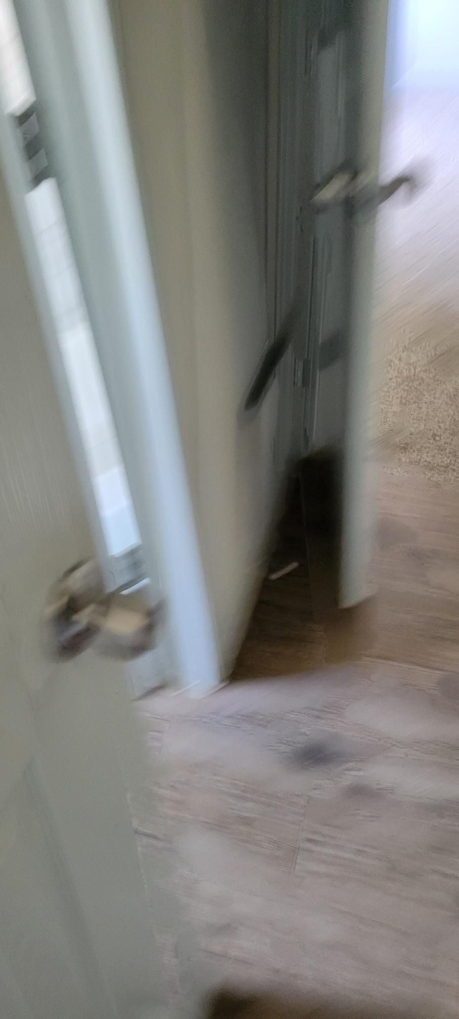 Ajar white door with silver handle, partially revealing a room with carpet flooring.