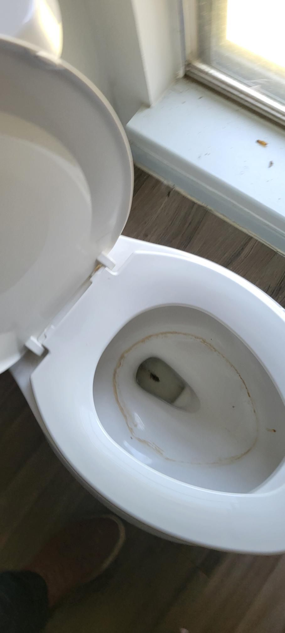 Open toilet with the lid raised, viewed from above, in a bathroom with a window. The toilet bowl has some visible dirt.