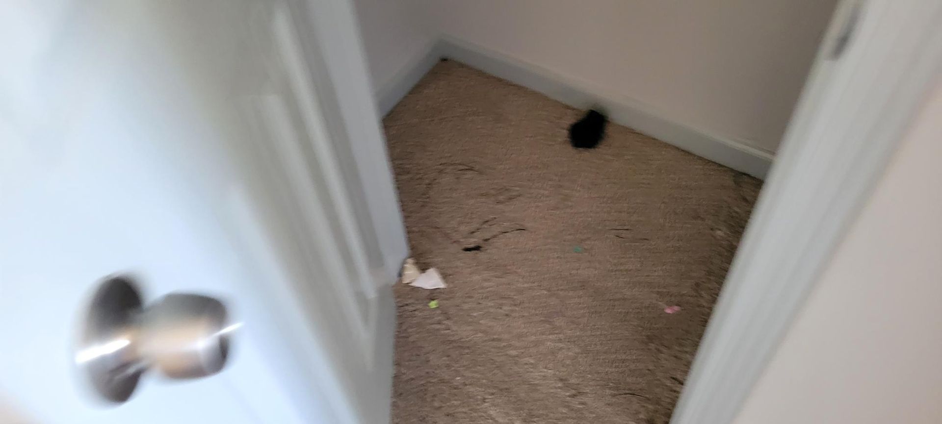 Open closet with carpet and trash on the floor. Black object in the corner.