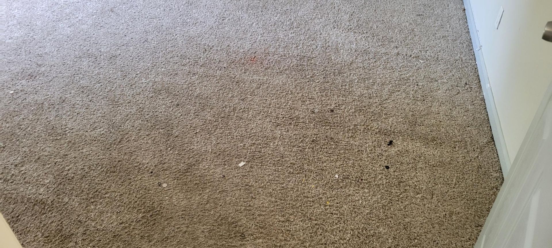 Beige carpet. A slight line runs across the middle of the carpet. A white door frame is visible.