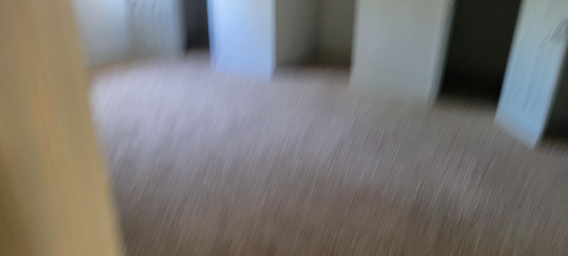 Interior of a room with beige carpet, white walls, and a slightly blurred view.