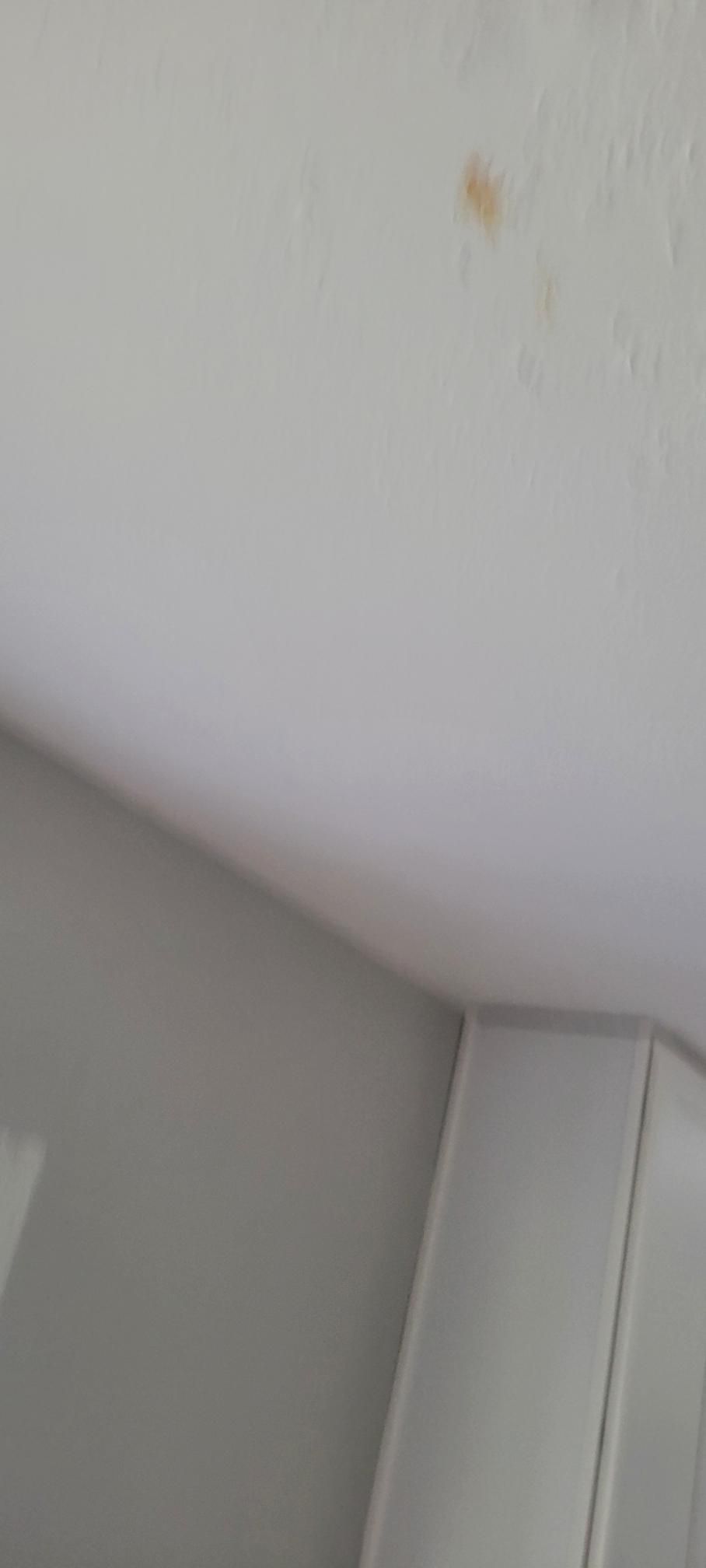 White ceiling with a tan stain, angled corner, and gray cabinets.